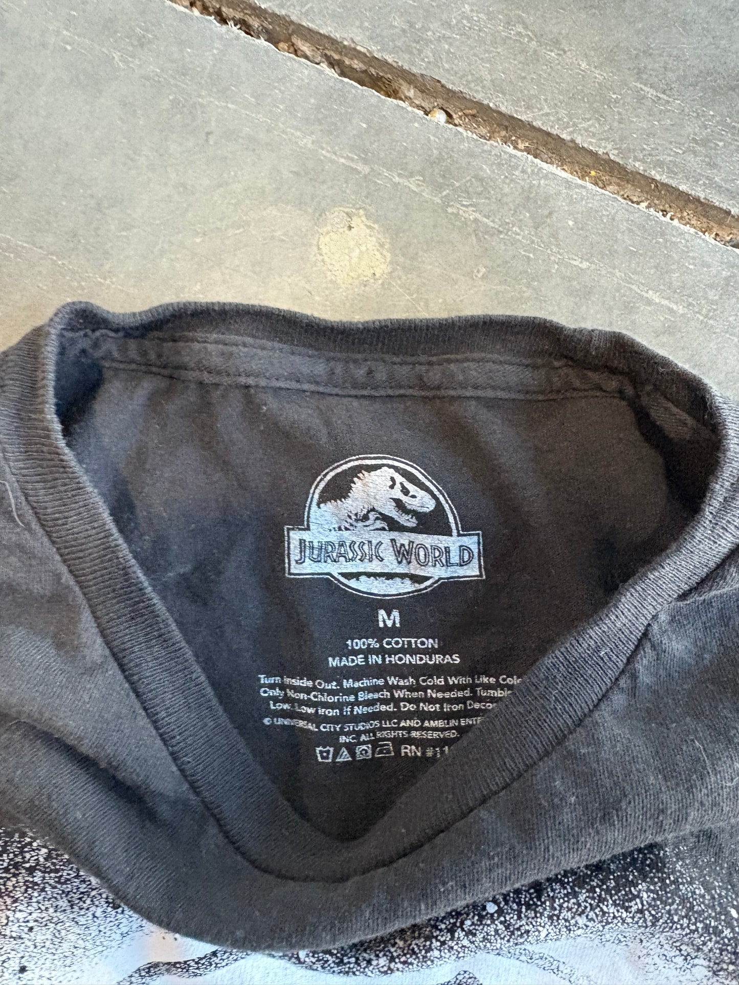 Jurassic Park Graphic Tee