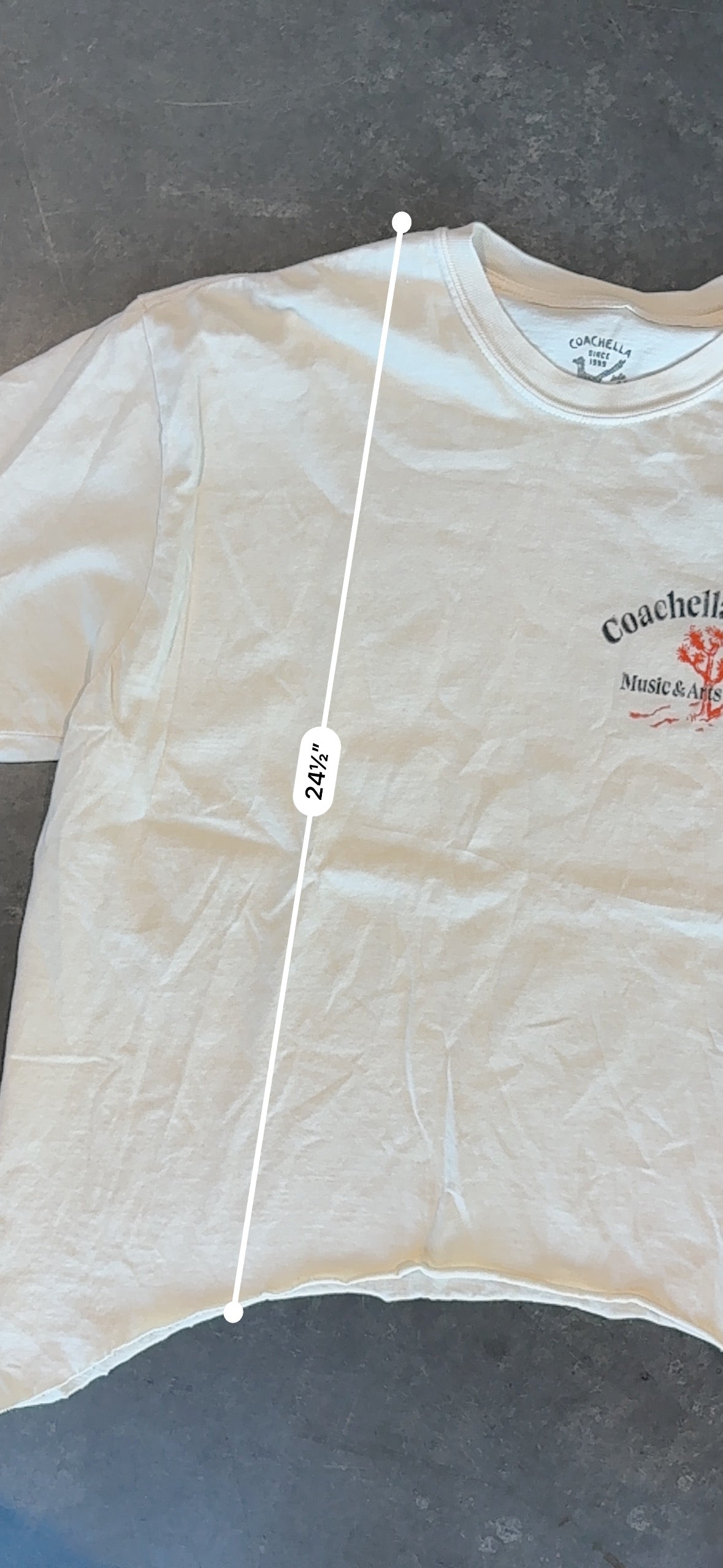 Coachella Valley Cropped Graphic Tee