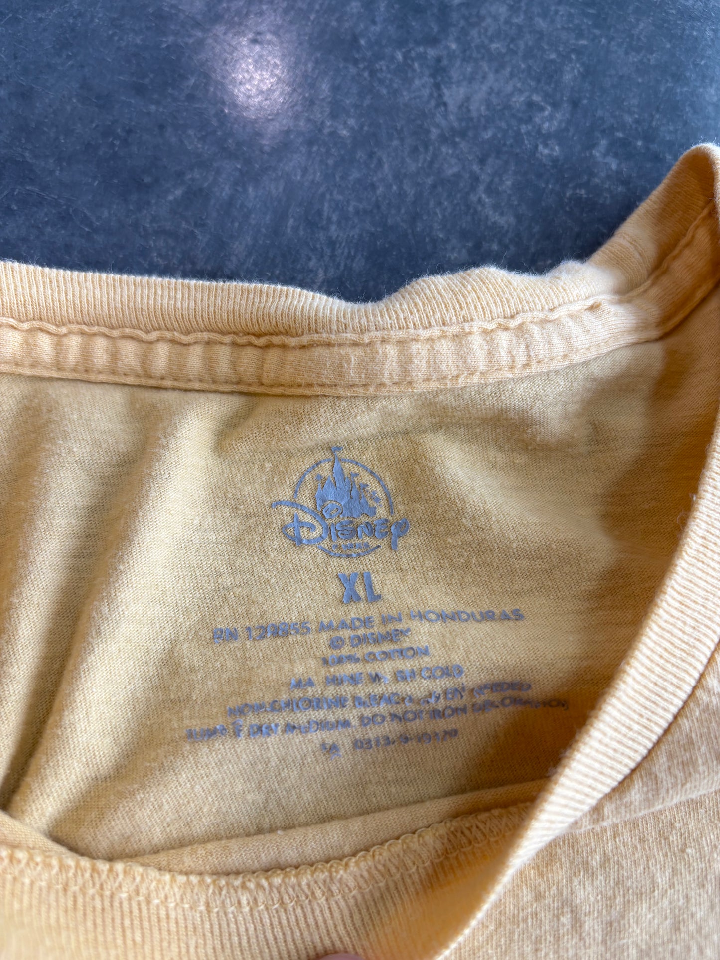 Retro Disneyland Graphic Tee