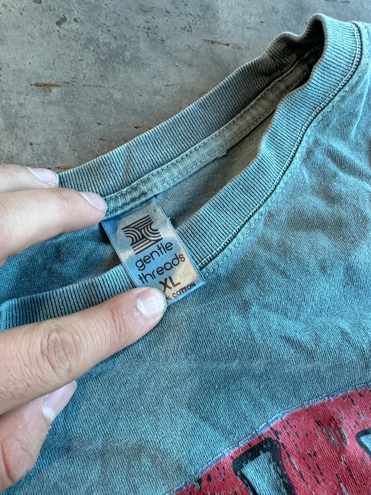 Bear Lake Graphic Longsleeve