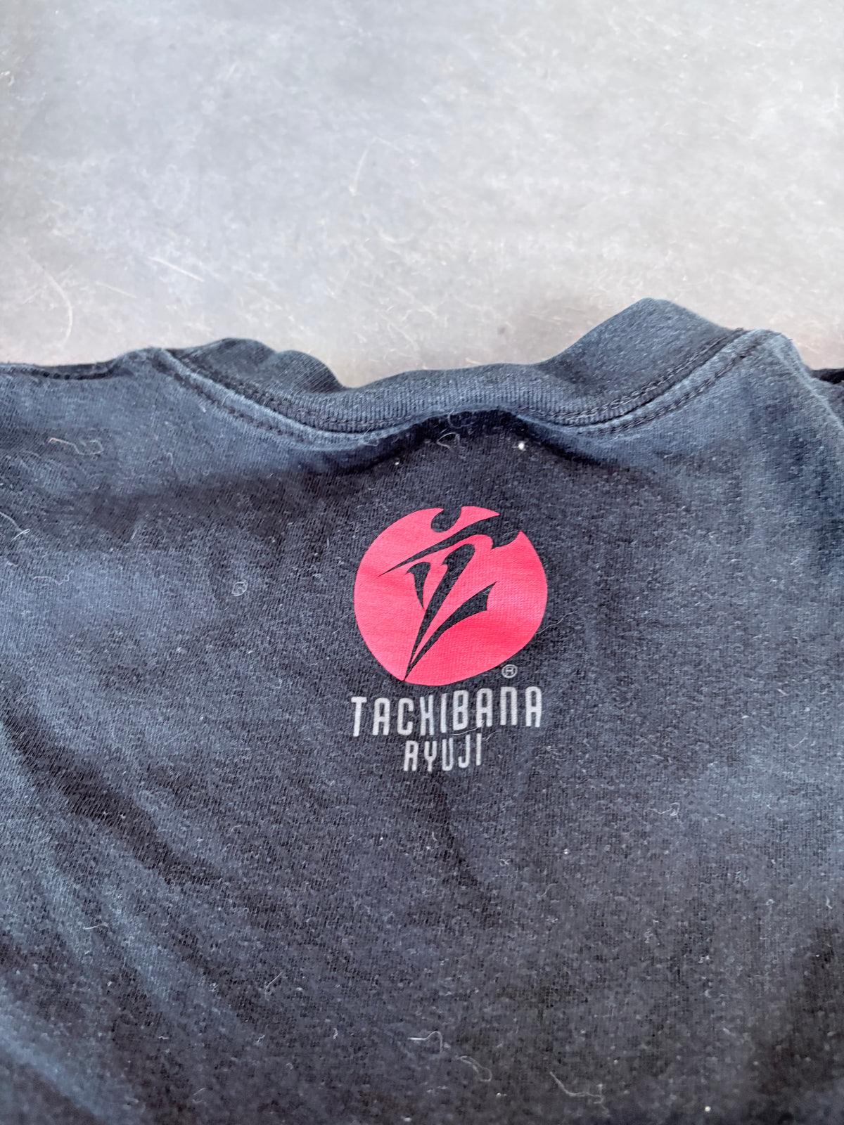 Y2K Tachibana Ayuji Graphic Tee