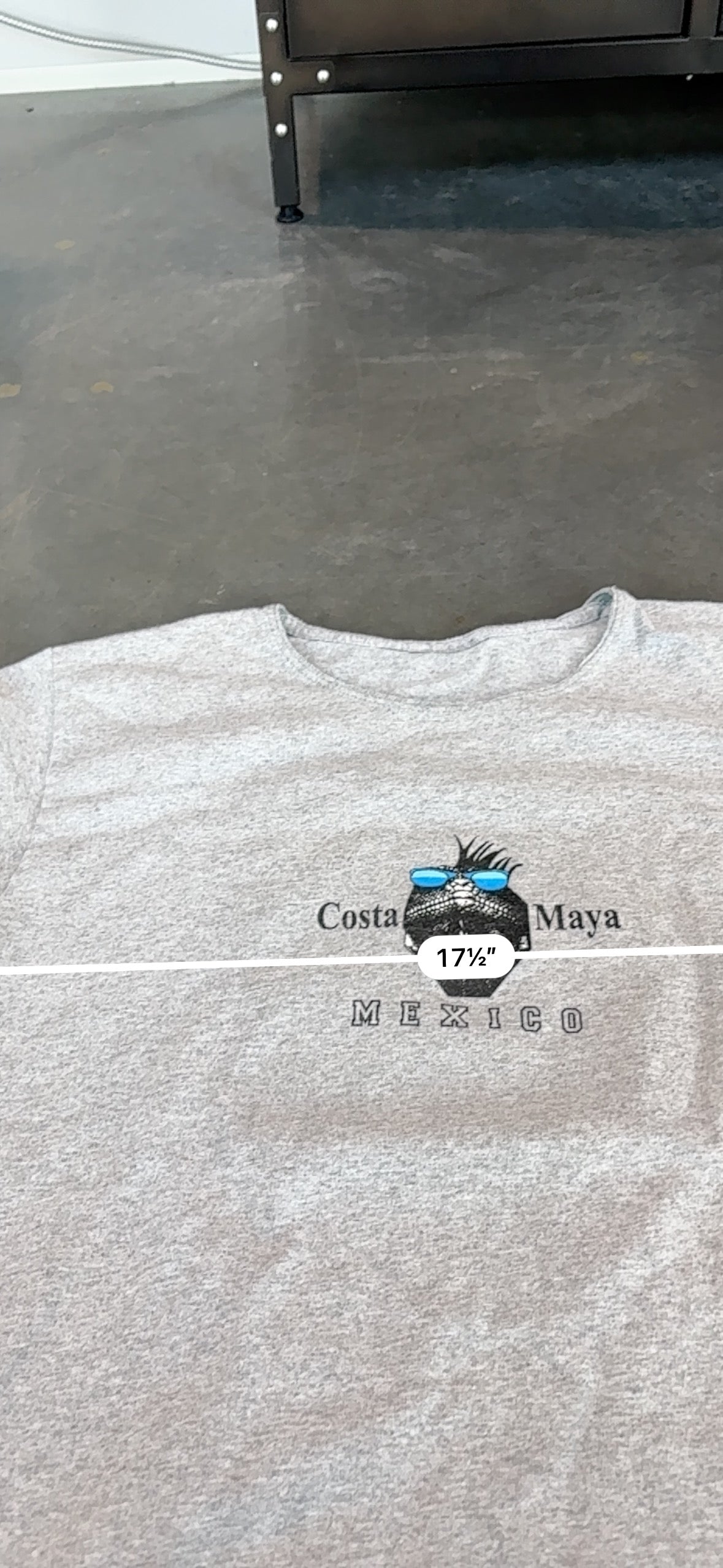Y2K Costa Maya Gecko Graphic Tee