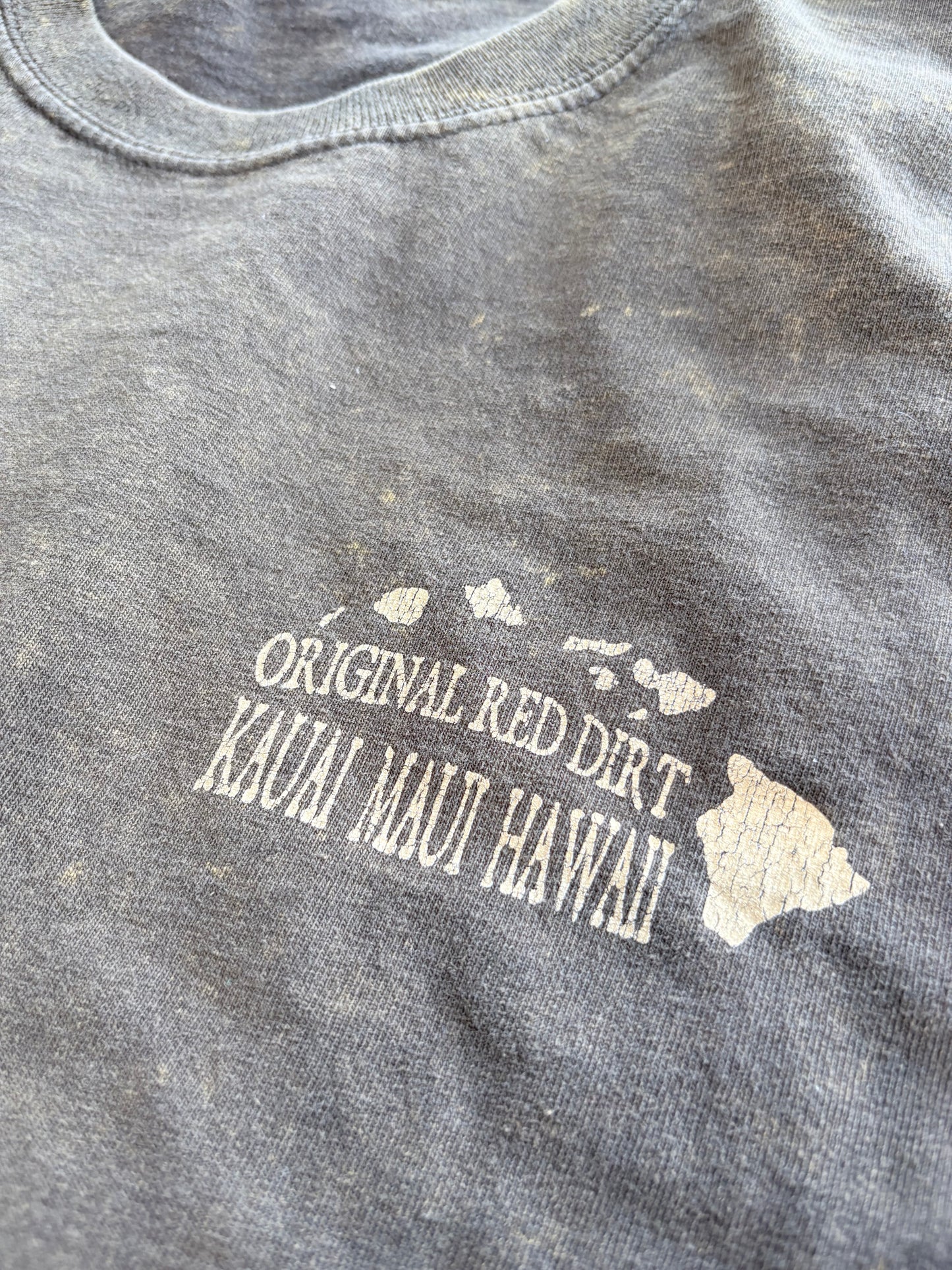Grunge Y2K Kauai Surf Graphic Tee