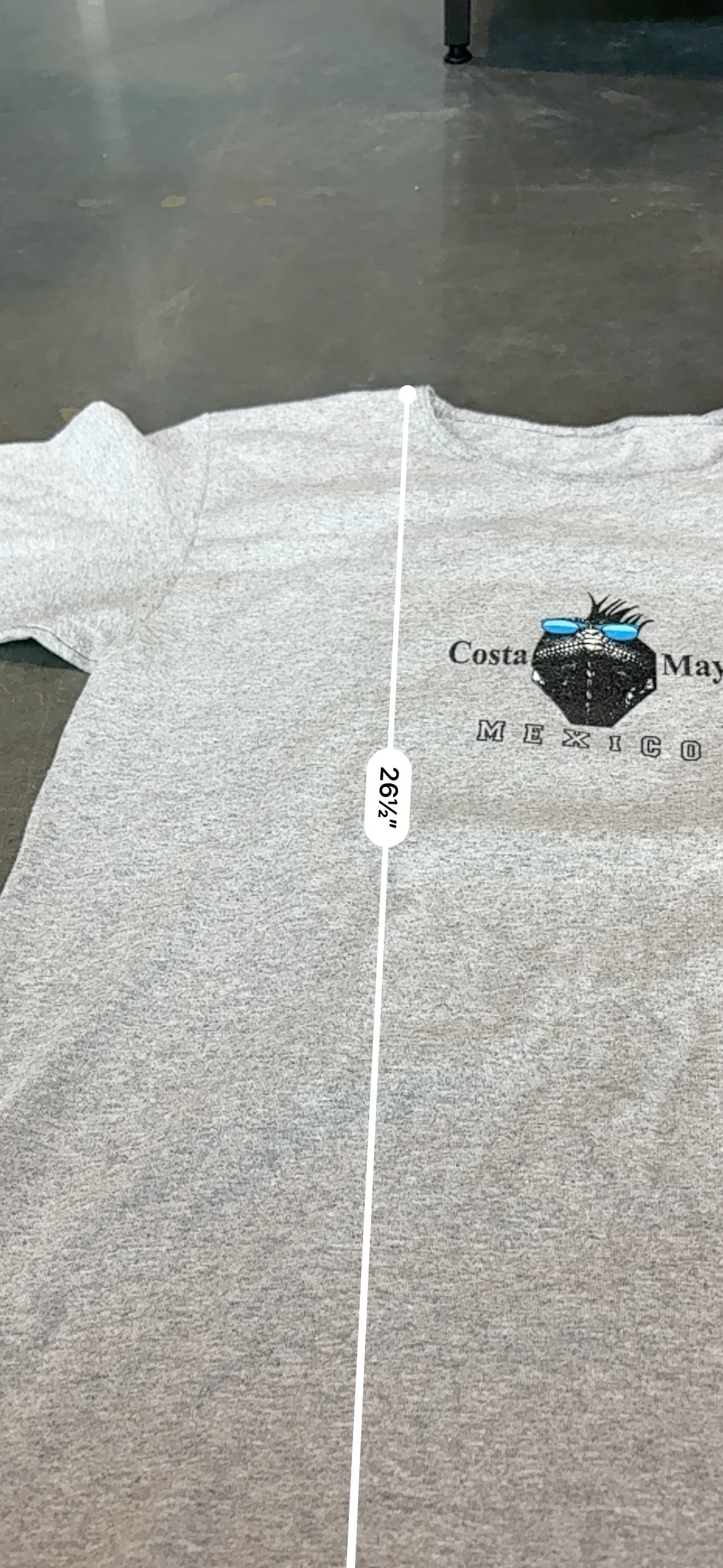 Y2K Costa Maya Gecko Graphic Tee