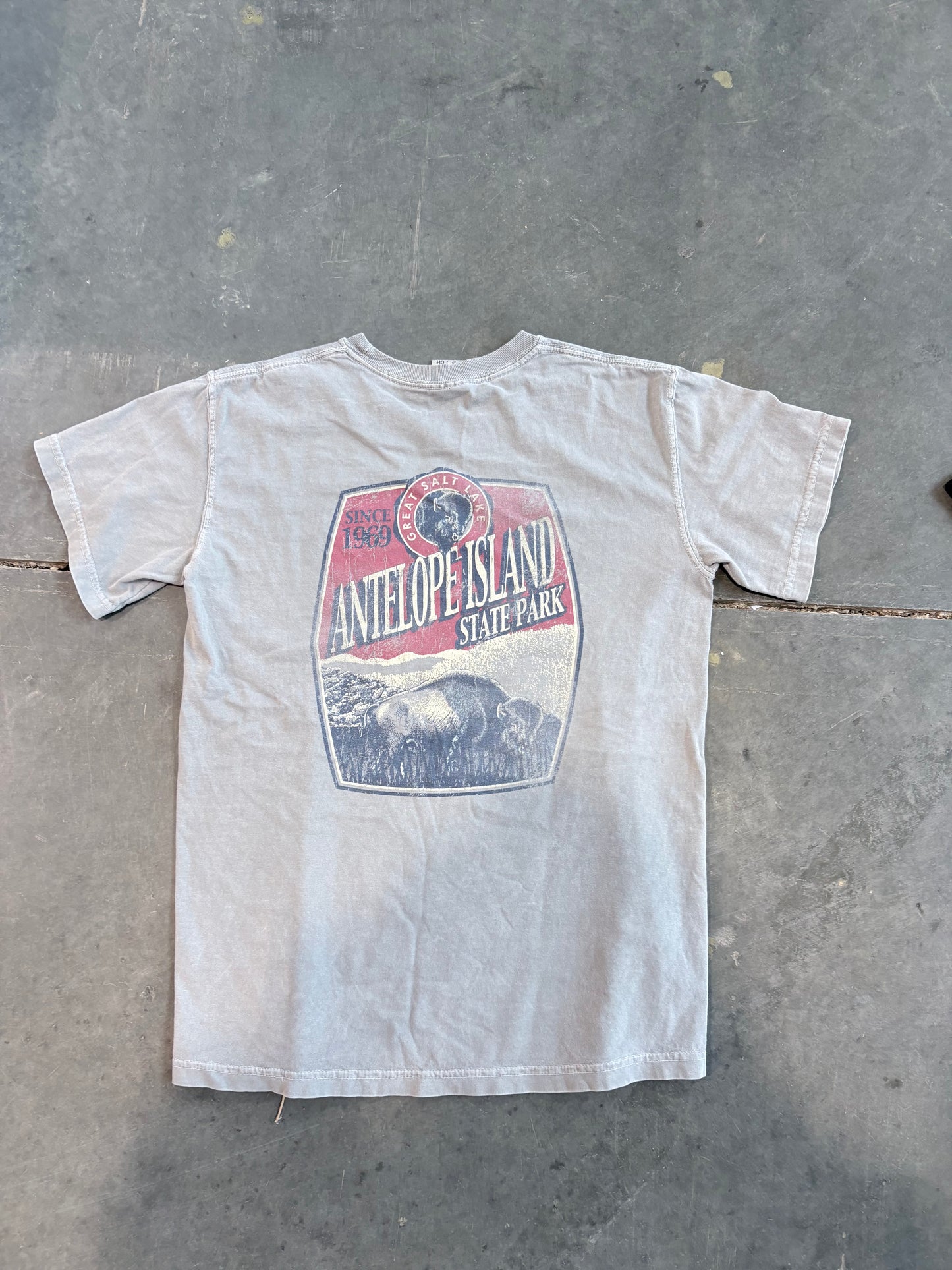 Antelope Island Graphic Tee