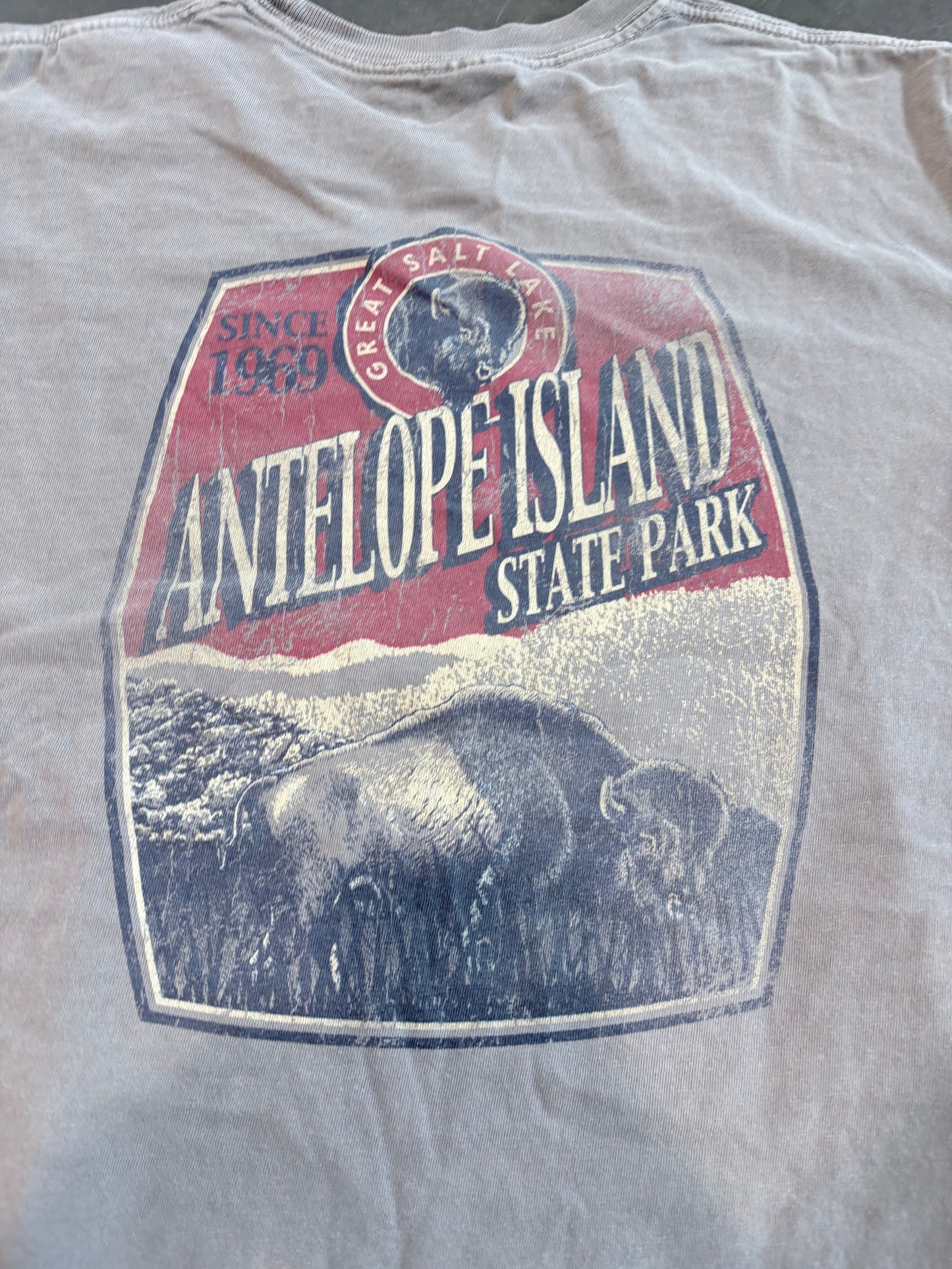 Antelope Island Graphic Tee