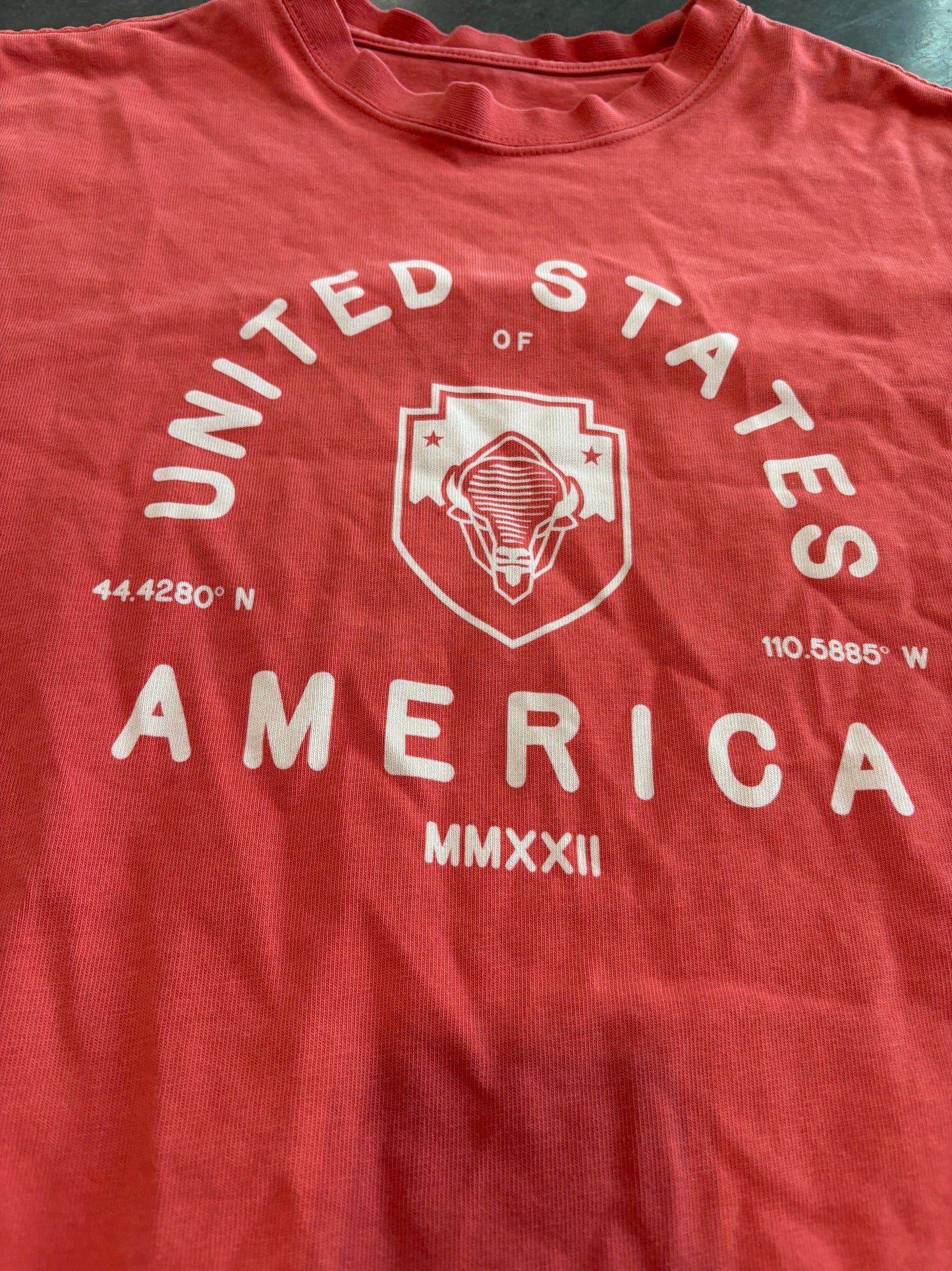 Nike ACG Heavyweight Graphic Tee