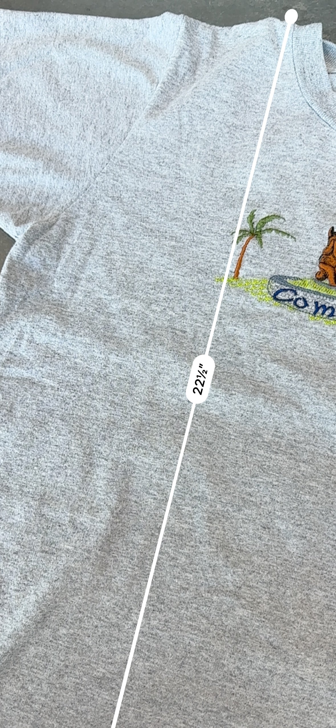 Vintage Comala Embroidered Graphic Tee