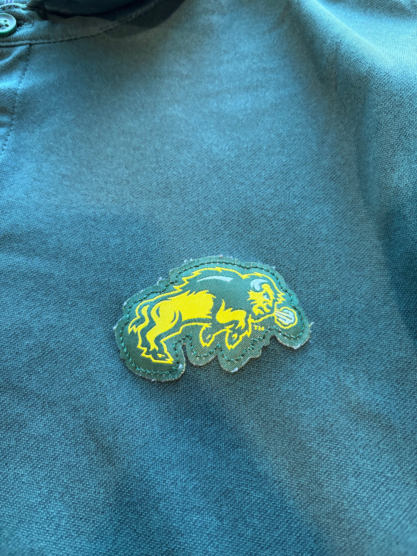 North Dakota Bison Polo