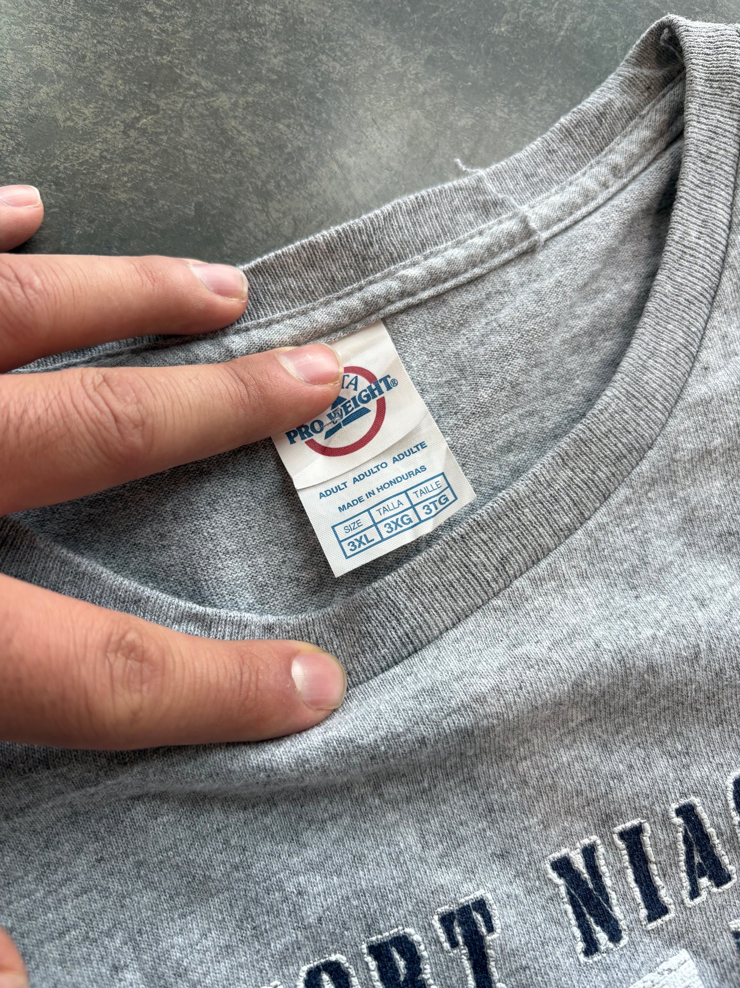 Old Fort Niagara Graphic Tee