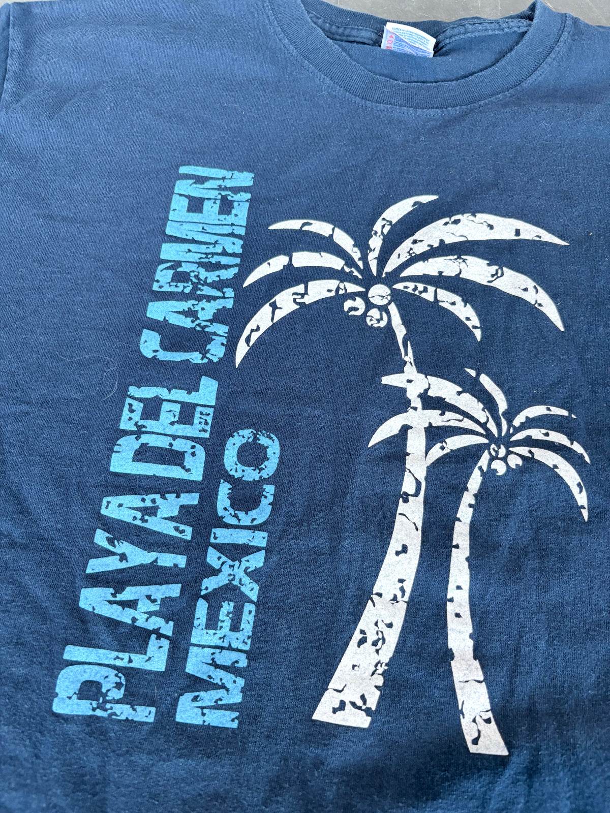 Y2K Playa del Carmen Palm Tree Graphic Tee