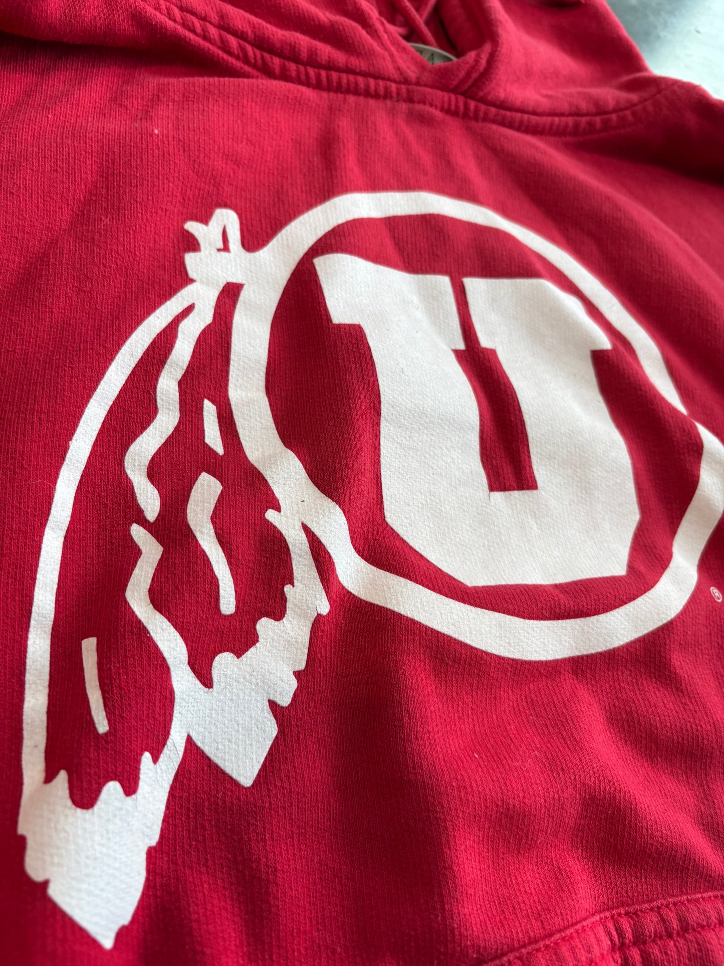Y2K Utah Utes Logo Graphic Hoodie