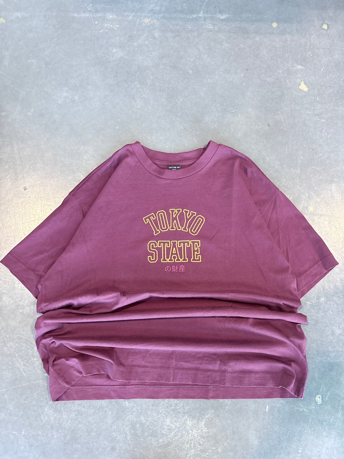 Tokyo State Embroidered Graphic Tee
