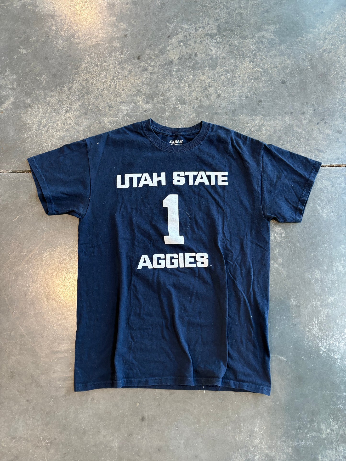Utah State Gameday Graphic Tee