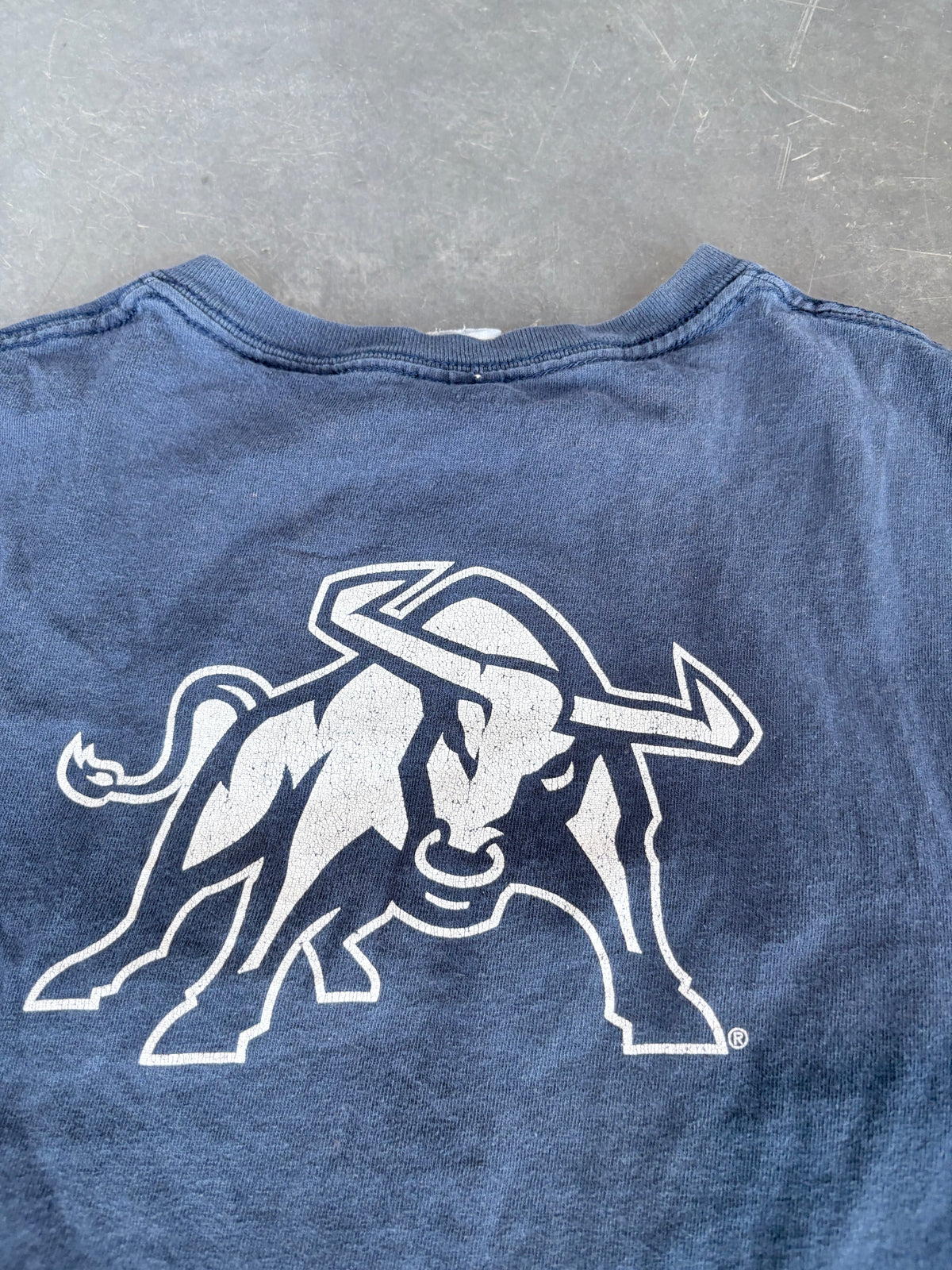 Y2K Utah State Football Graphic Tee