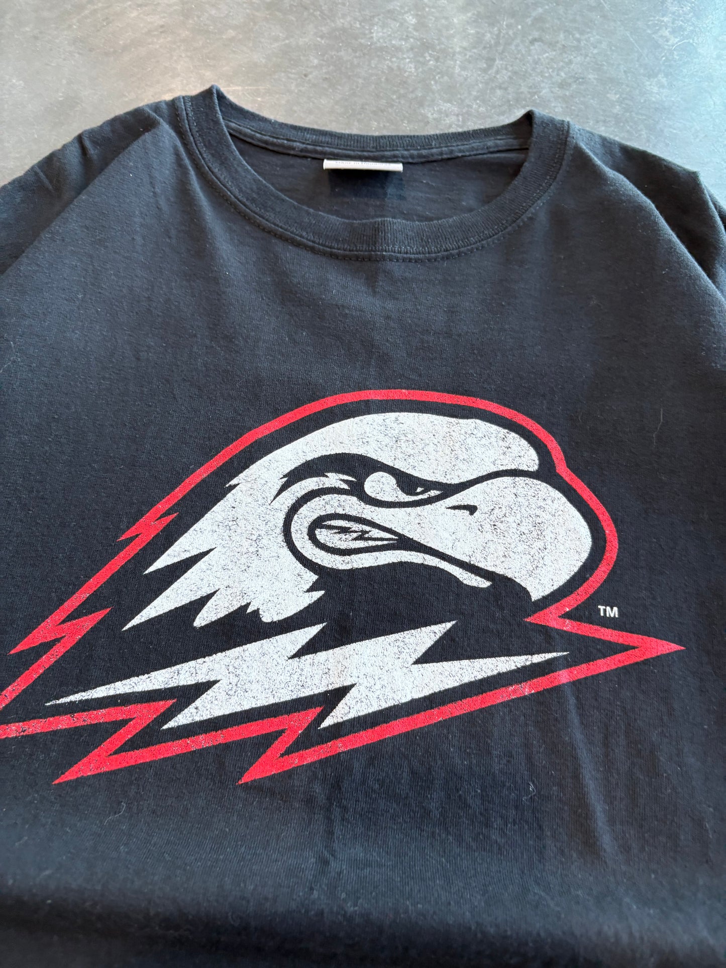 Y2K Southern Utah University Graphic Tee
