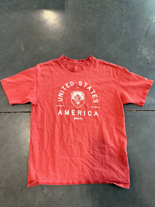 Nike ACG Heavyweight Graphic Tee