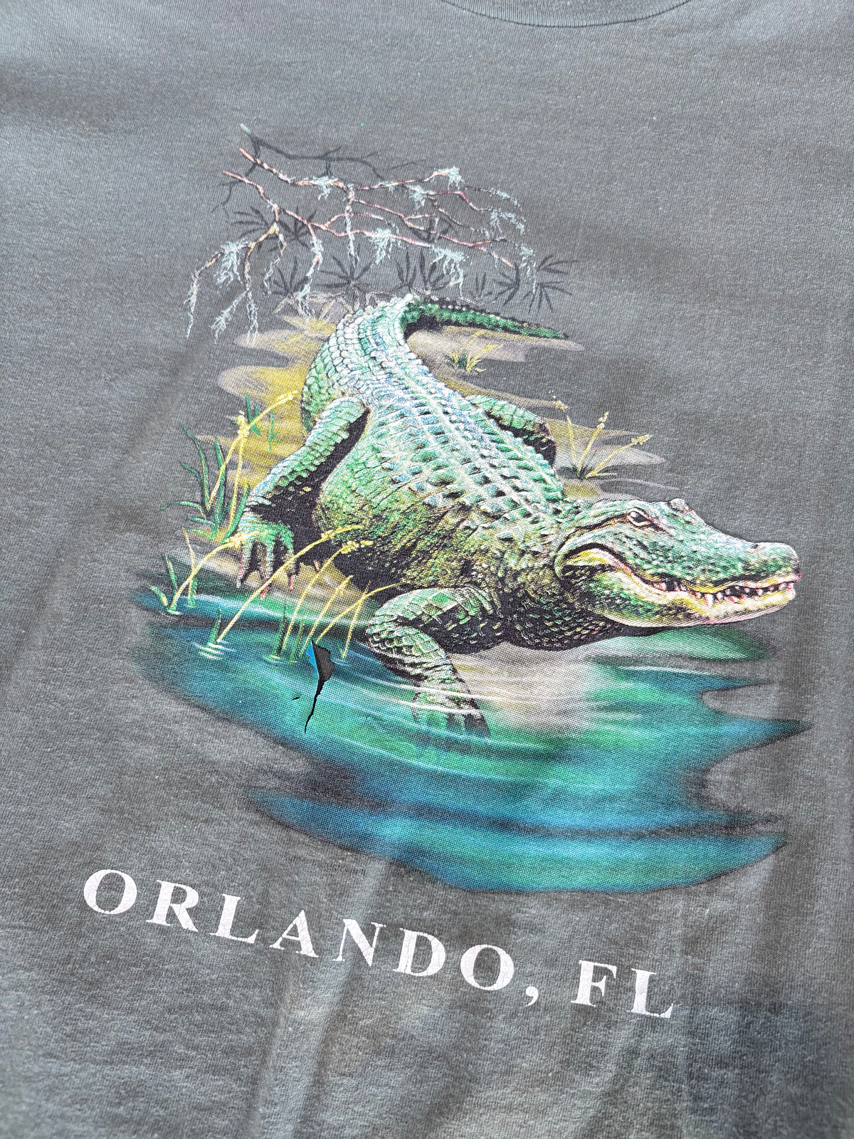 Vintage Y2K Alligator Florida Graphic Tee