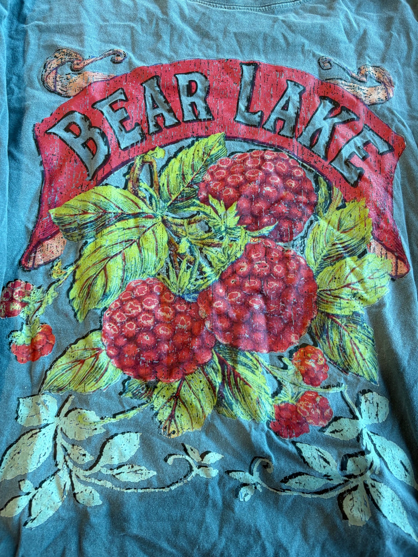 Bear Lake Graphic Longsleeve