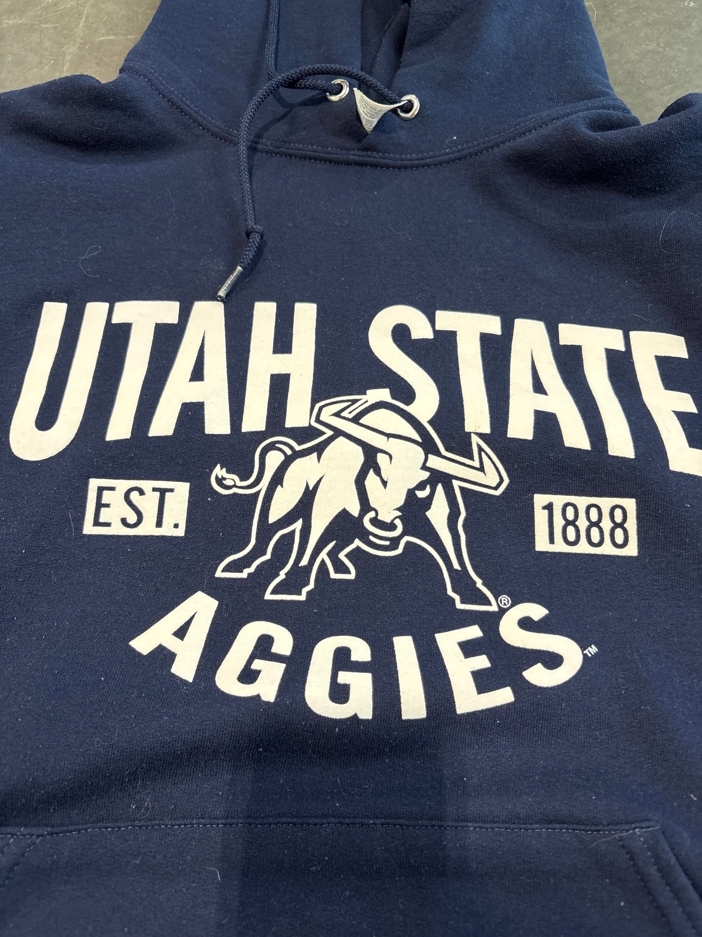 Utah State Aggies Graphic Hoodie