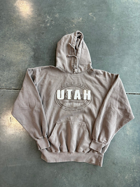 Vintage Utah Embroidered Graphic Hoodie