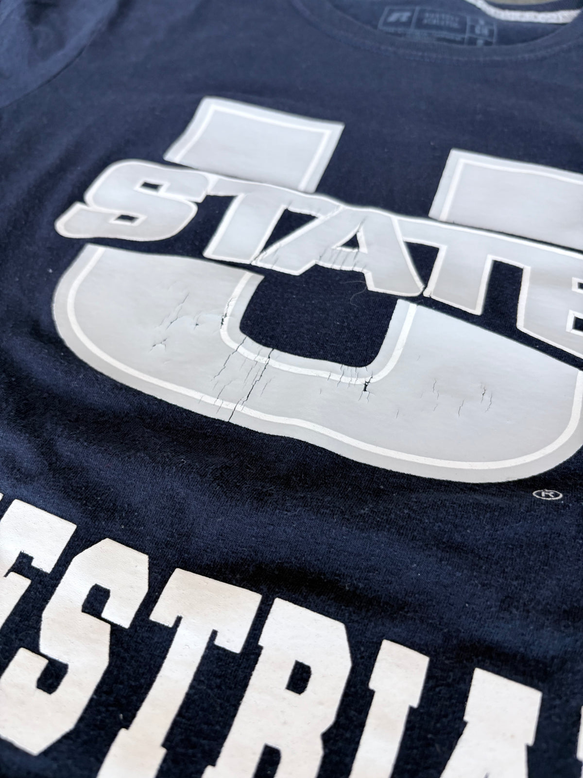 Y2K Utah State Equestrian Graphic Tee