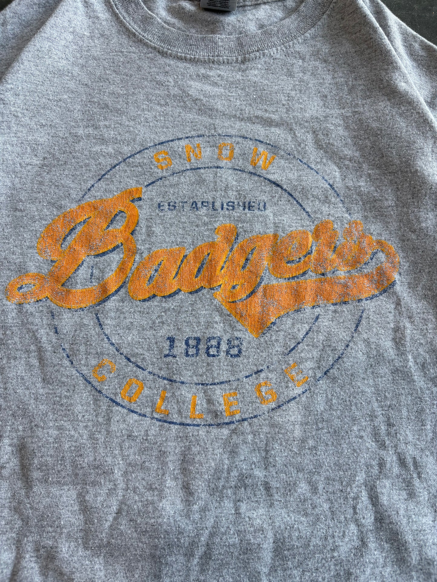 Snow Badgers Graphic Tee