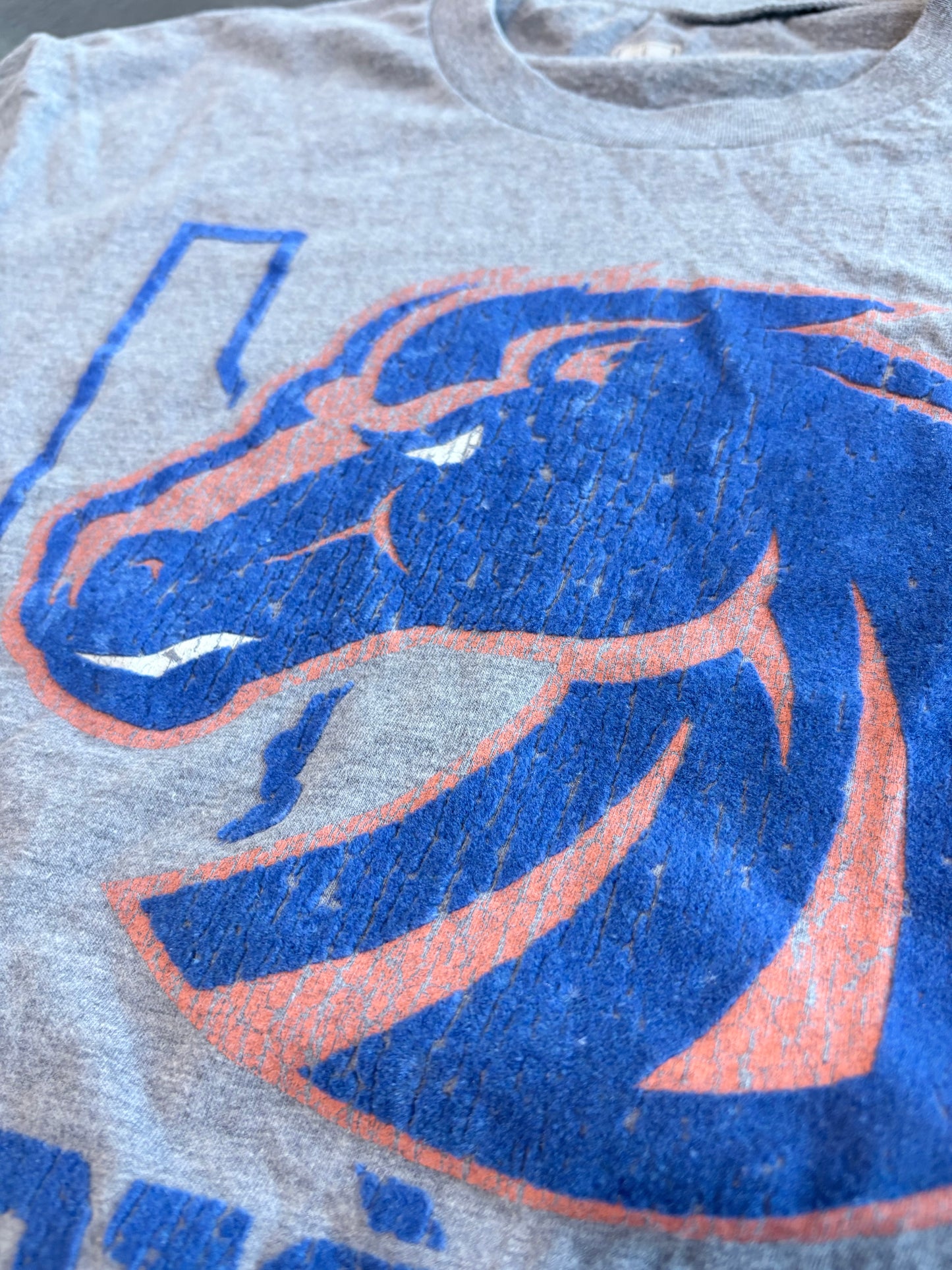 Y2K Boise State Broncos Graphic Tee
