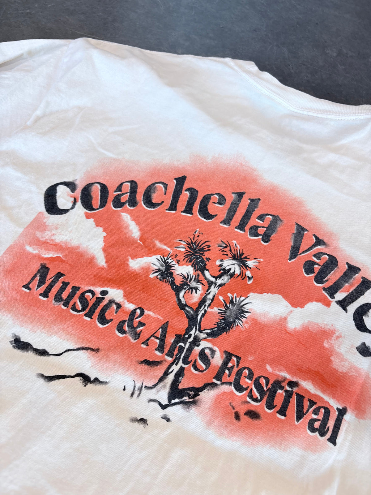 Coachella Valley Cropped Graphic Tee