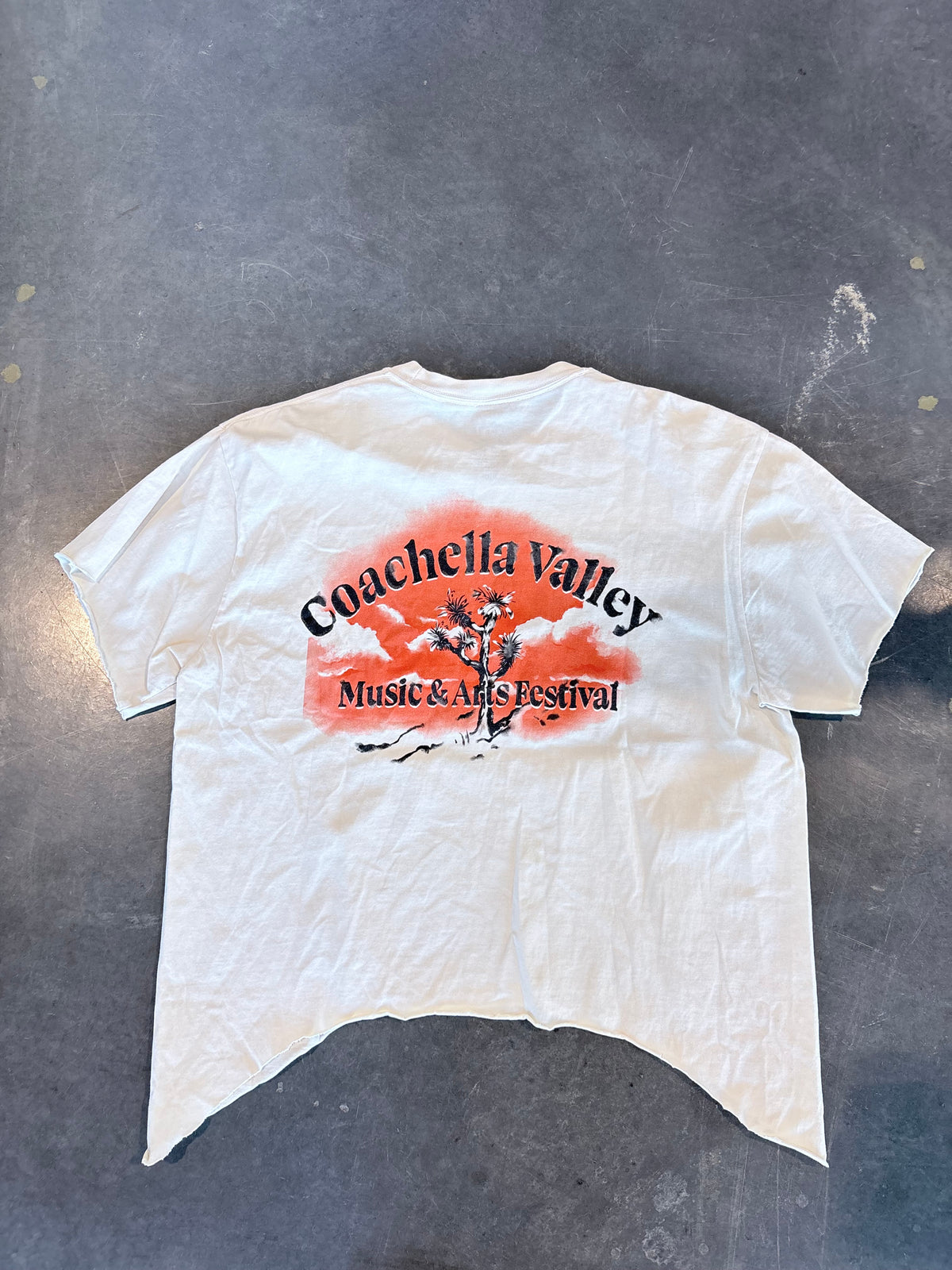 Coachella Valley Cropped Graphic Tee