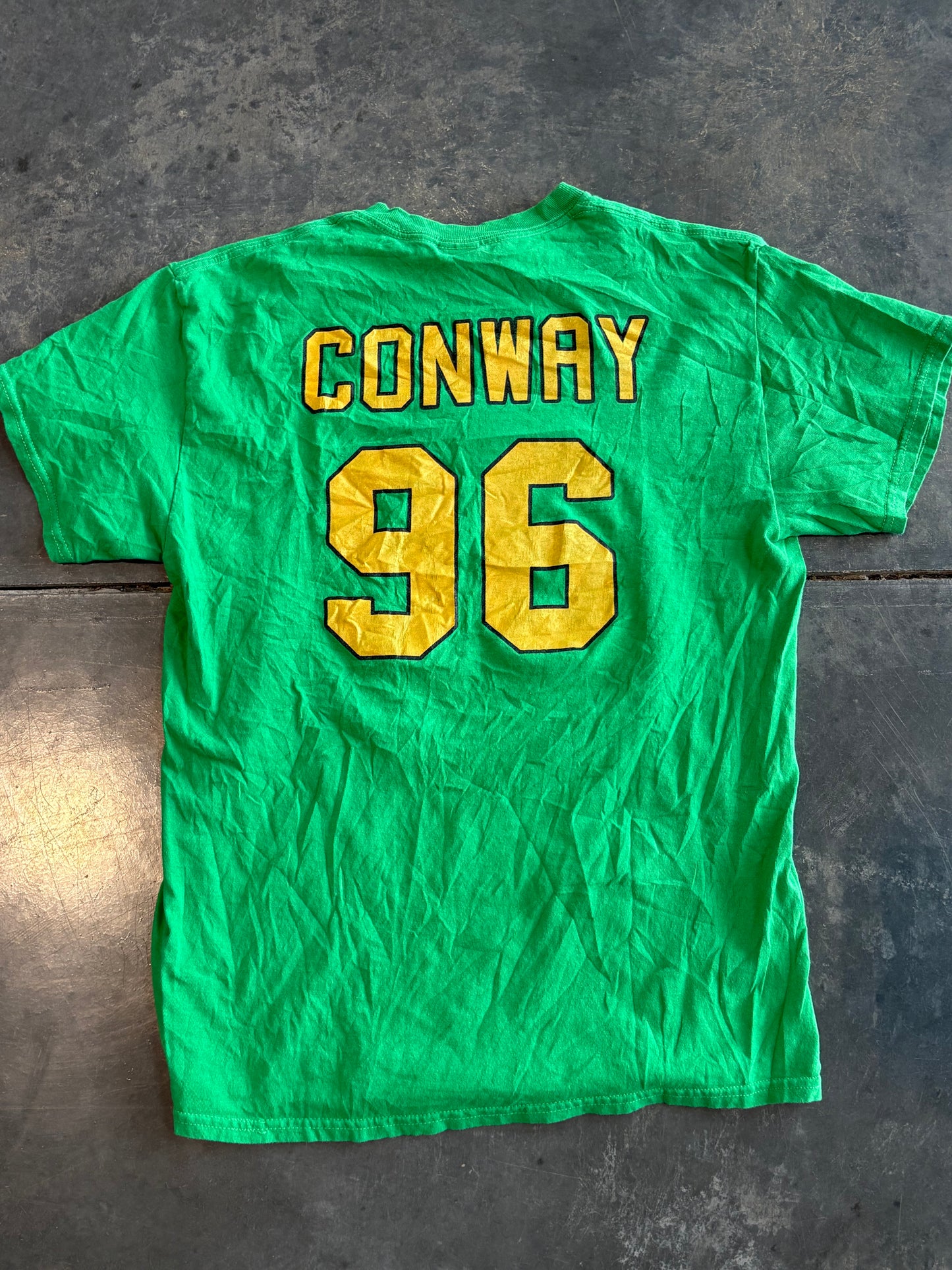 Ducks Hockey Graphic Tee