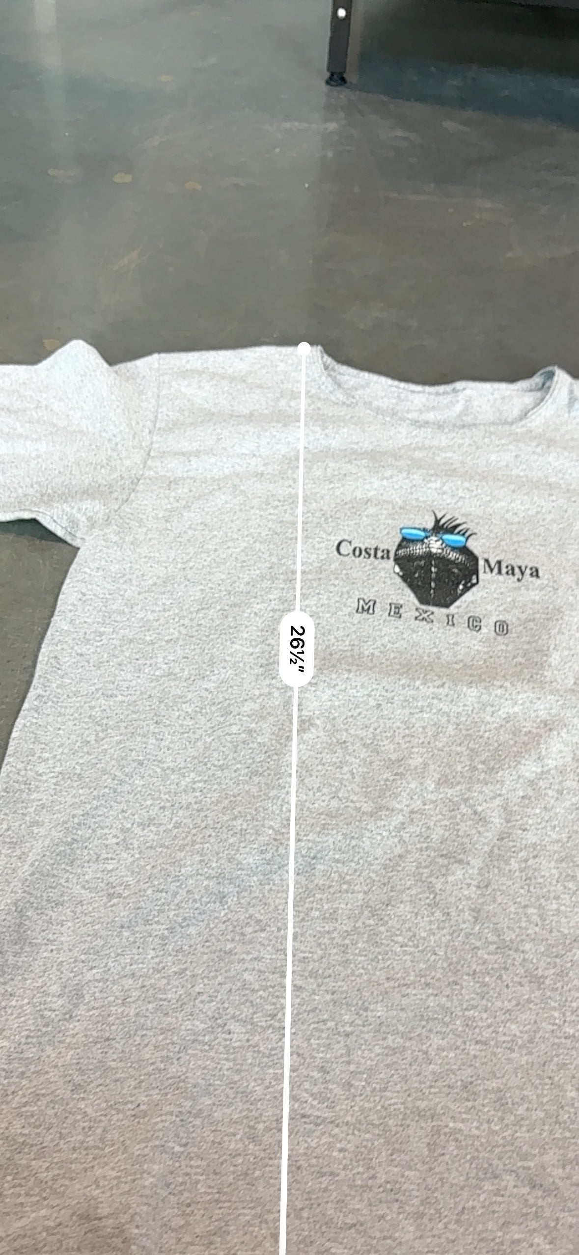 Y2K Costa Maya Gecko Graphic Tee