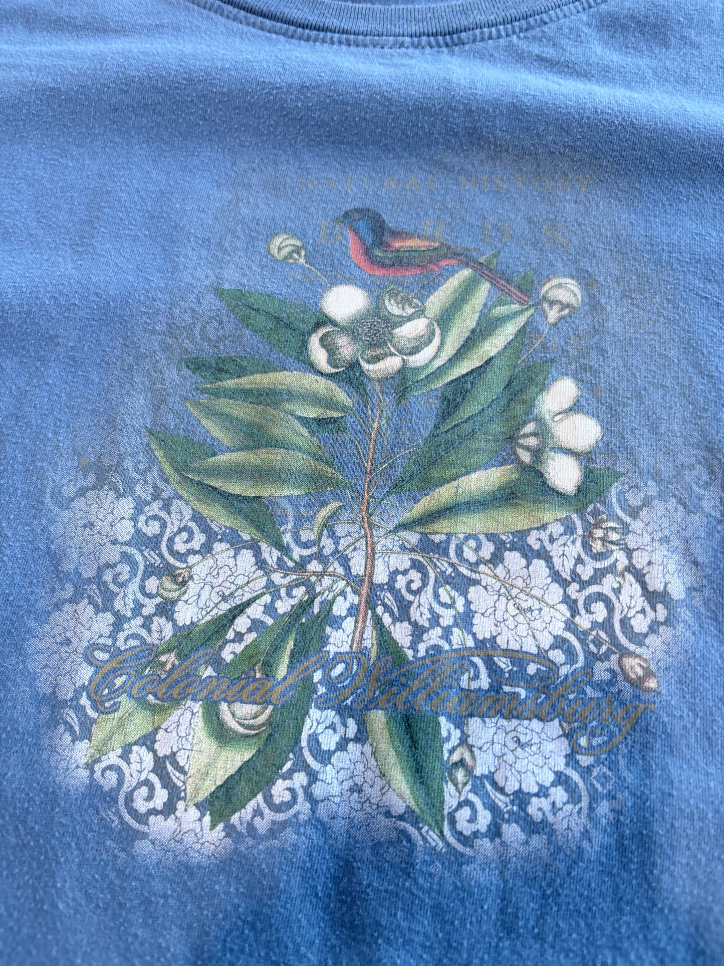 Vintage Colonial Williamsburg Graphic Tee