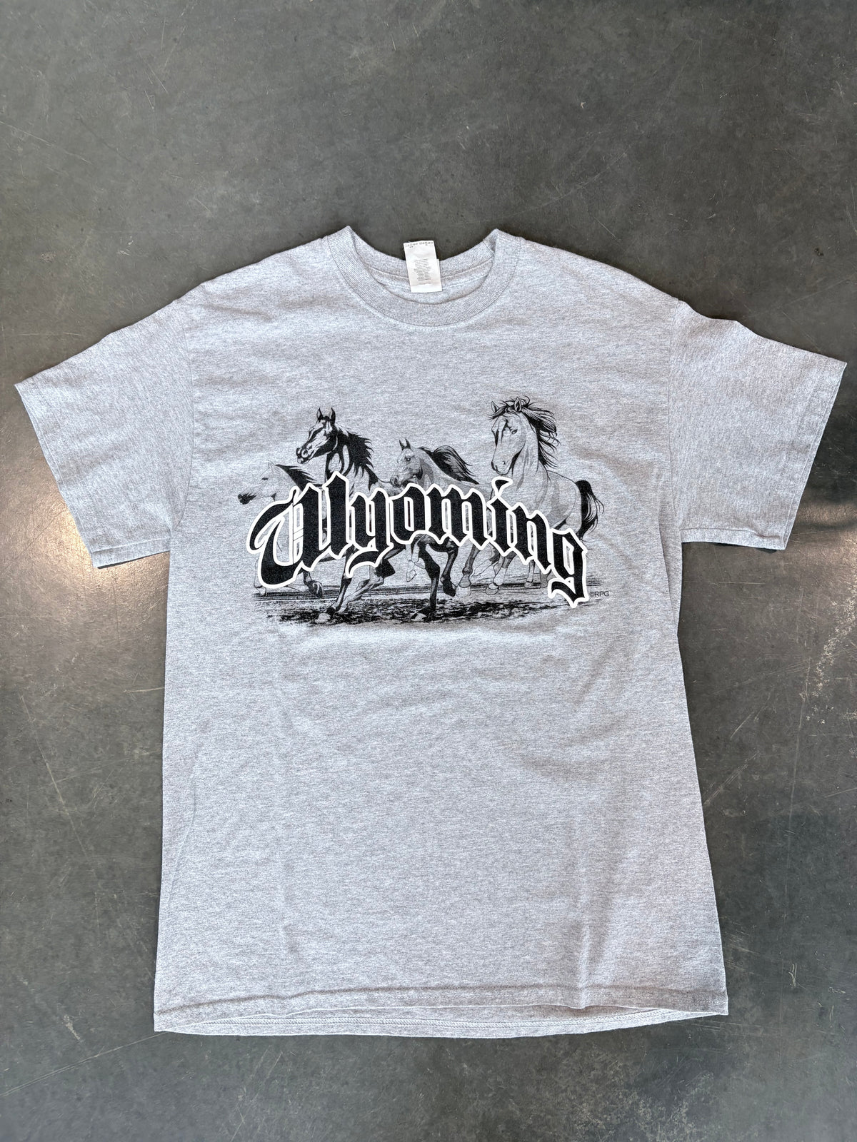 Grunge Y2K Wyoming Graphic Tee