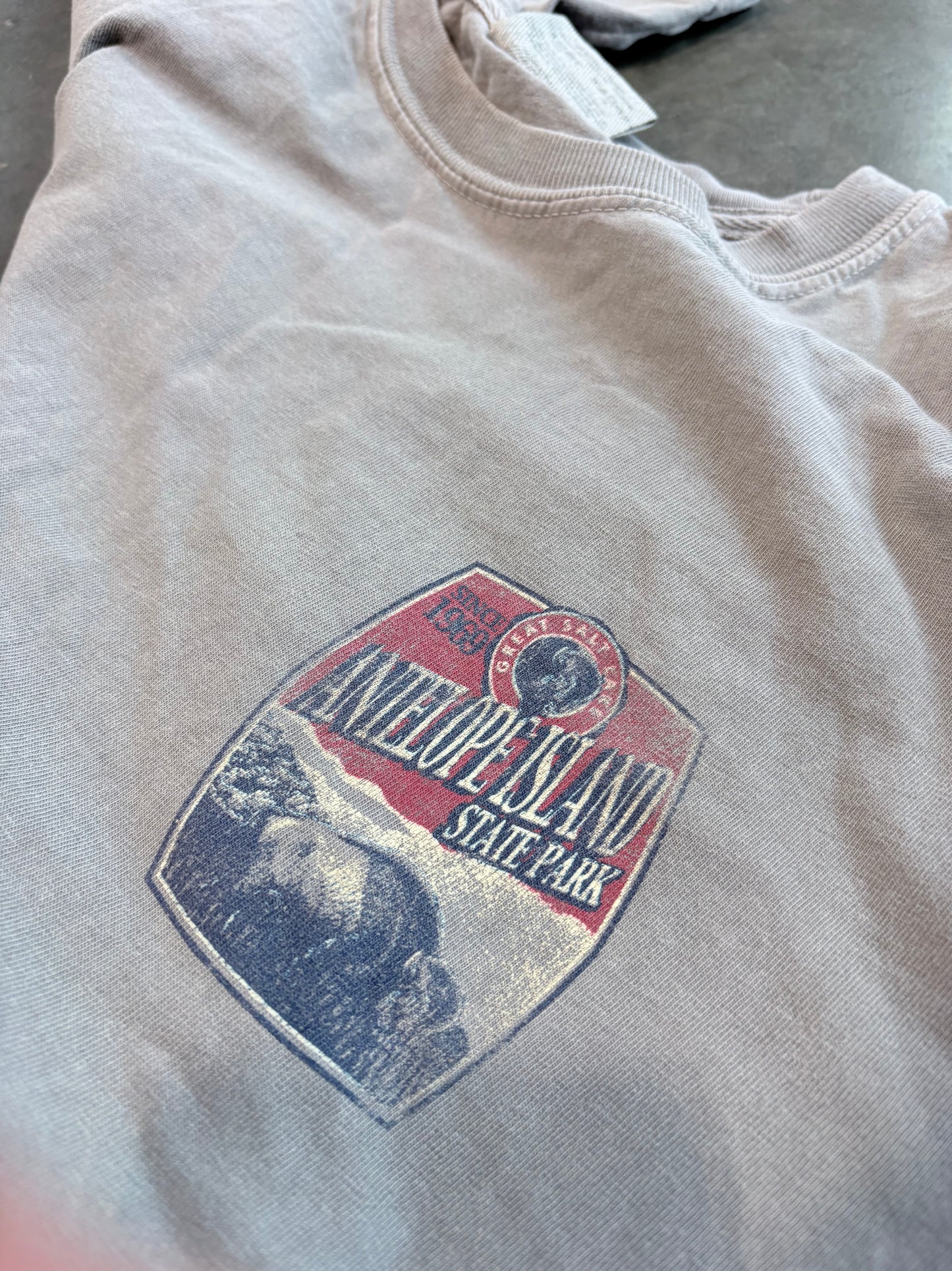 Antelope Island Graphic Tee