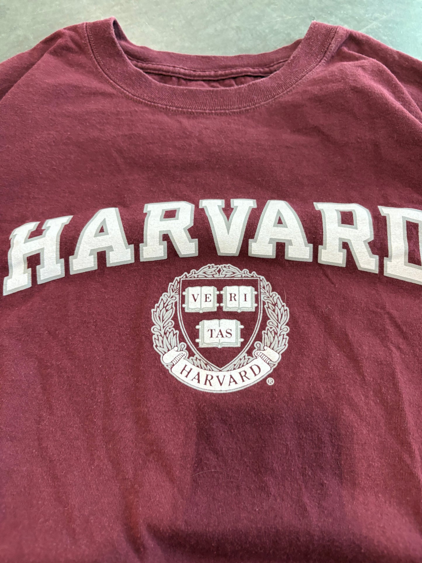 Harvard Graphic Tee