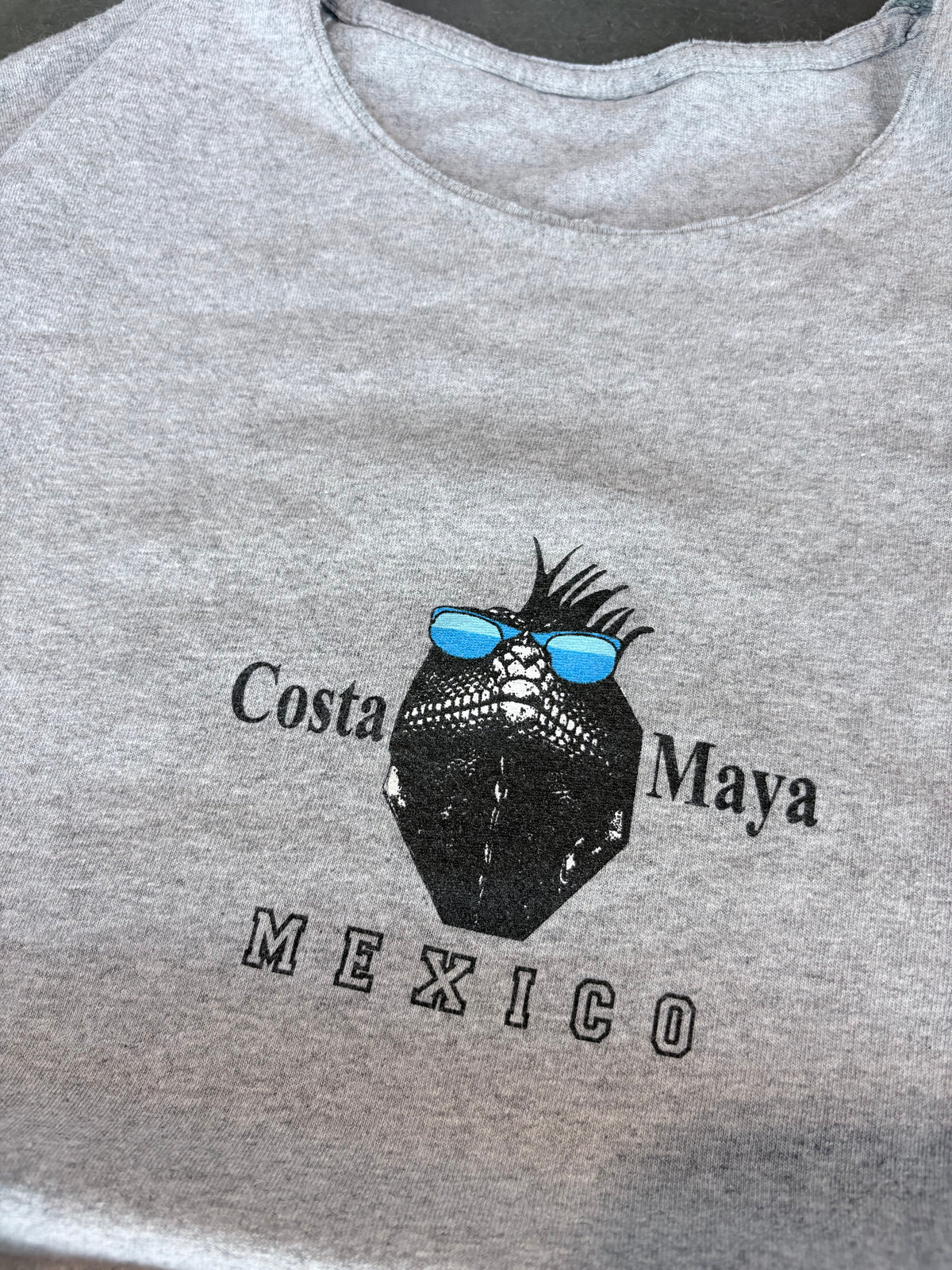 Y2K Costa Maya Gecko Graphic Tee