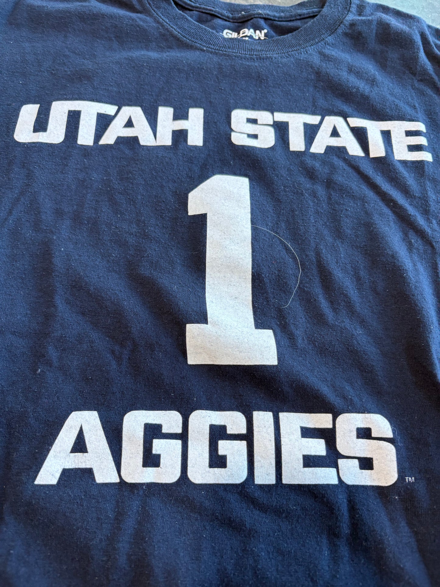 Utah State Gameday Graphic Tee