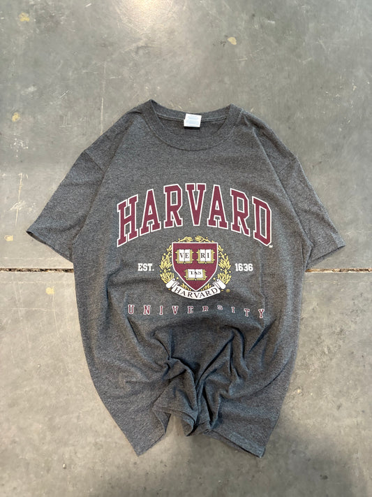 Harvard Graphic Tee