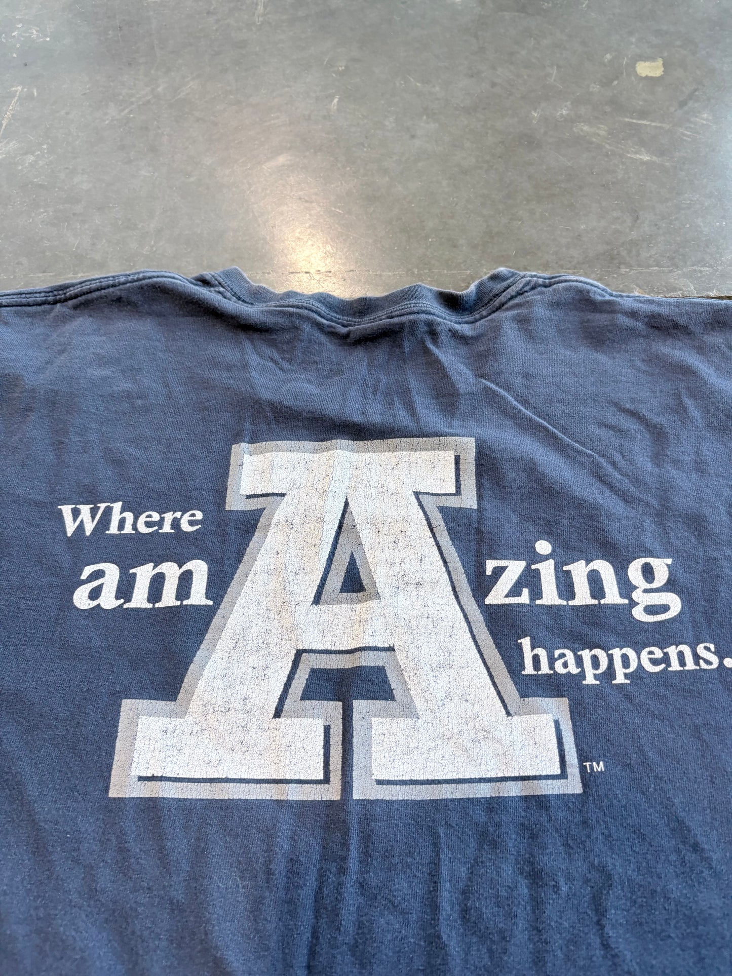 Y2K Utah State Aggies Athletics Graphic Tee