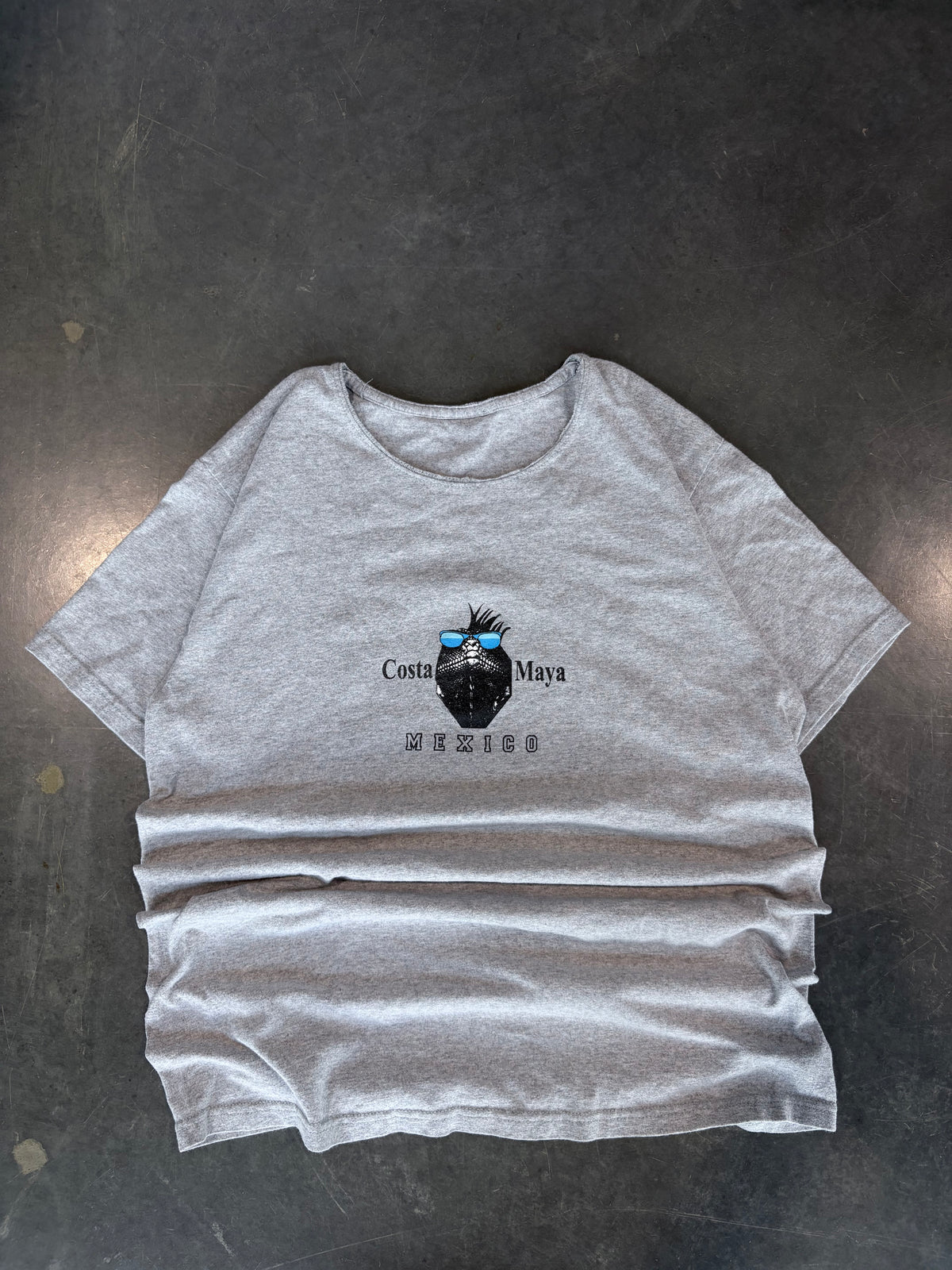 Y2K Costa Maya Gecko Graphic Tee