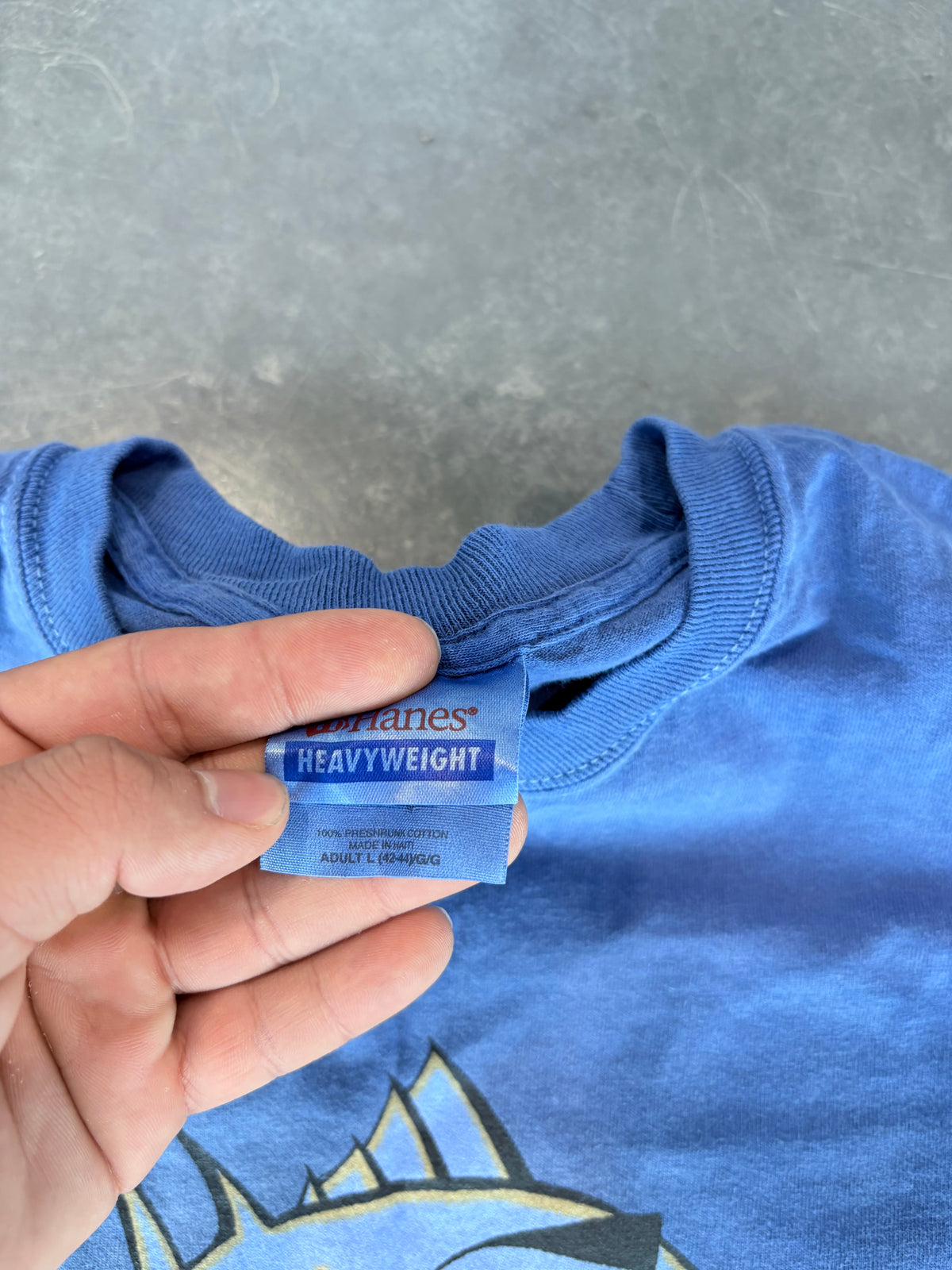 Y2K Stylin Piranha Royal Carribean Graphic Tee