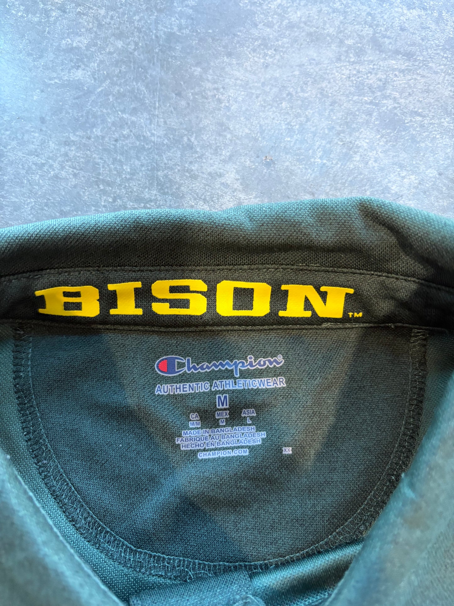 North Dakota Bison Polo