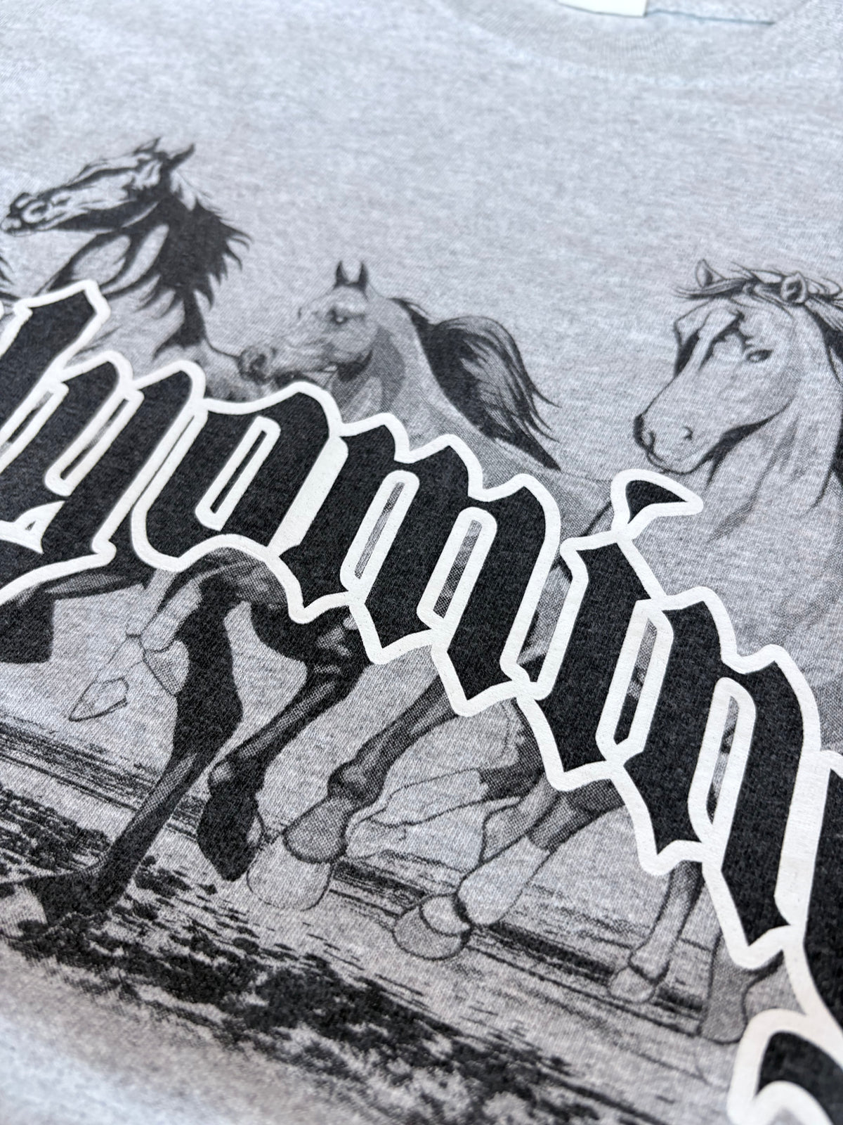 Grunge Y2K Wyoming Graphic Tee