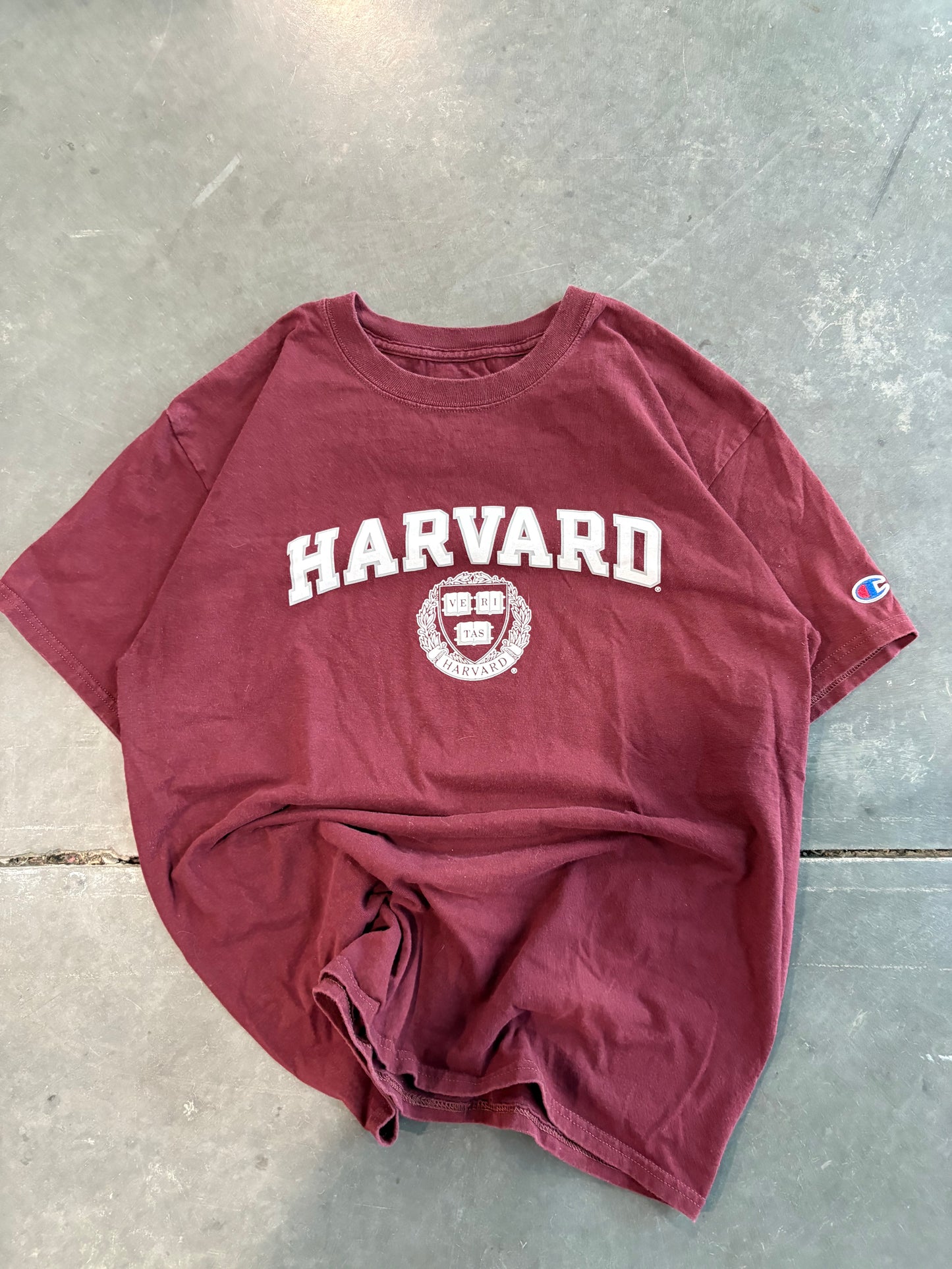 Harvard Graphic Tee