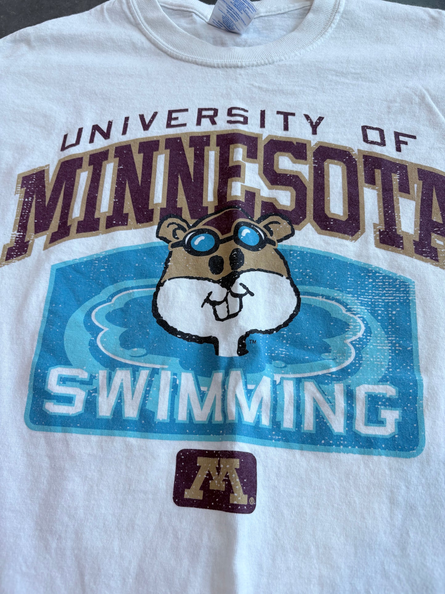 Y2K Minnesota Swimming Graphic Tee