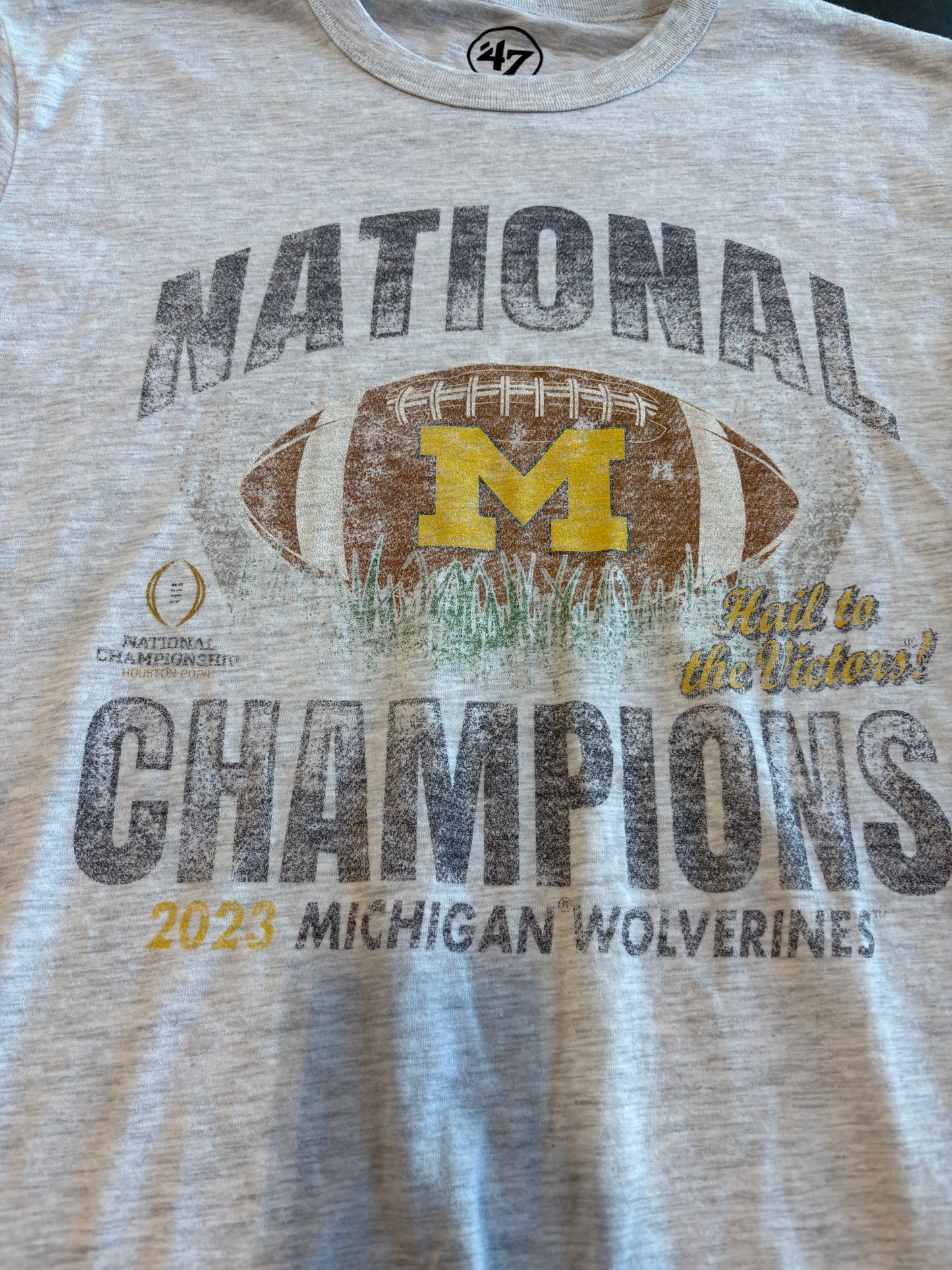 Michigan Football 2023 National Champions Graphic Tee