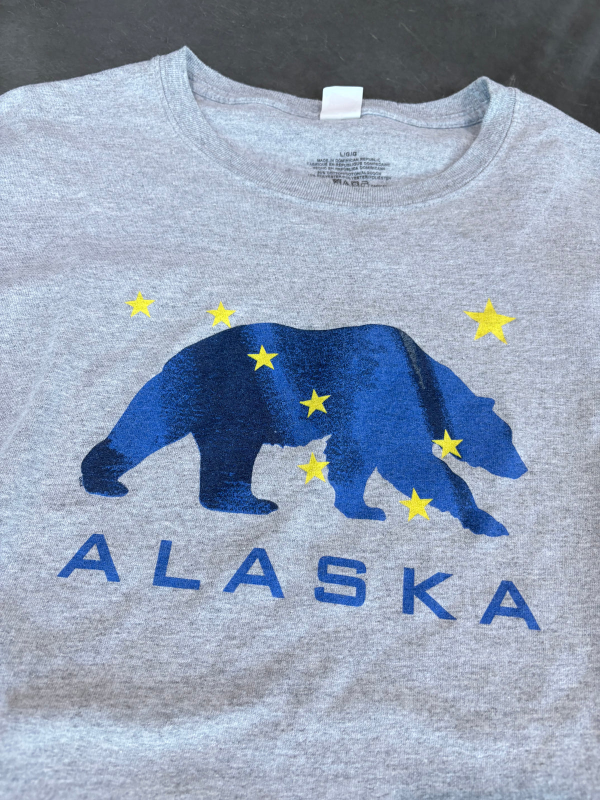 Alaska Outdoors Bear Graphic Tee