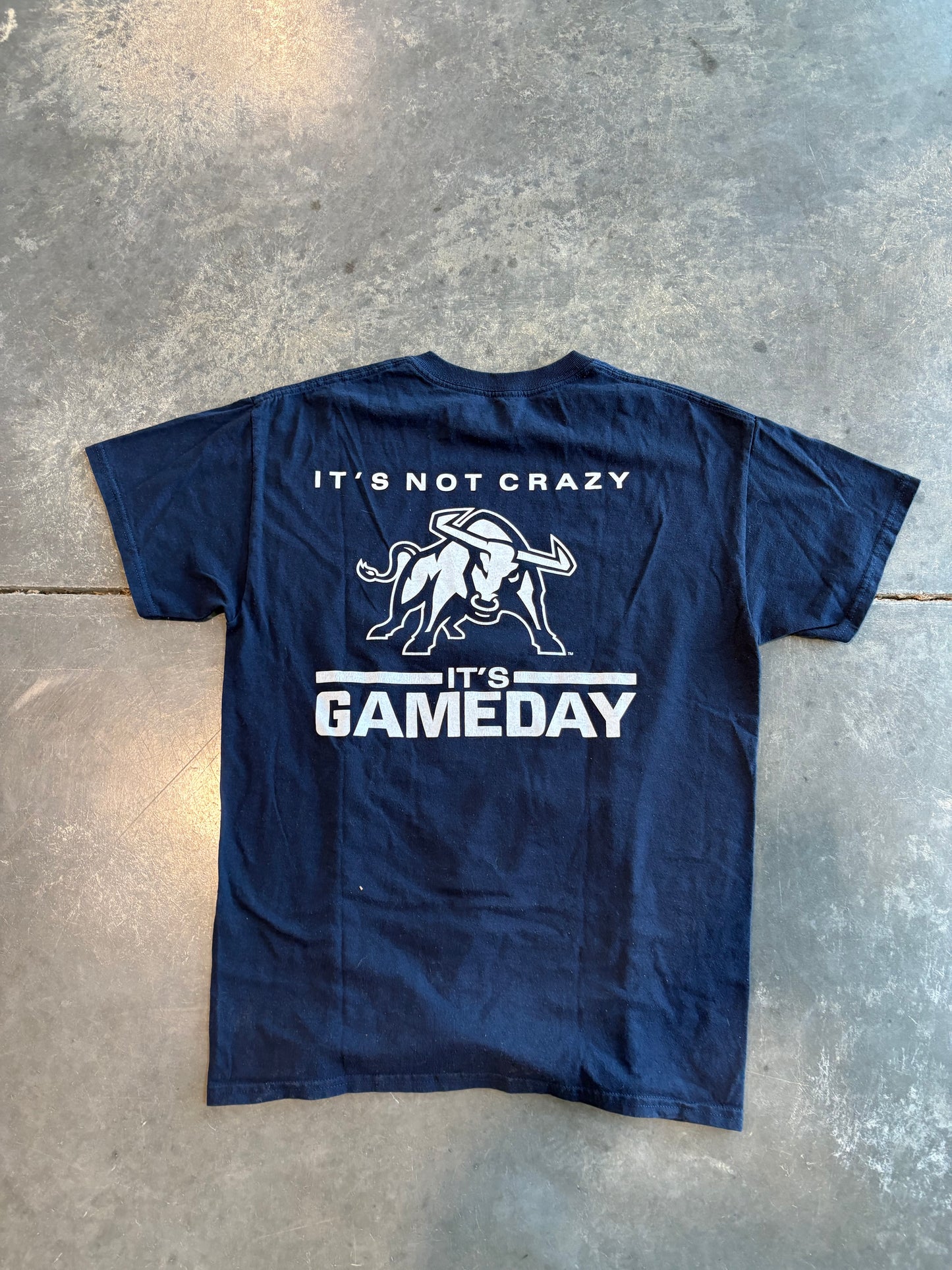 Utah State Gameday Graphic Tee