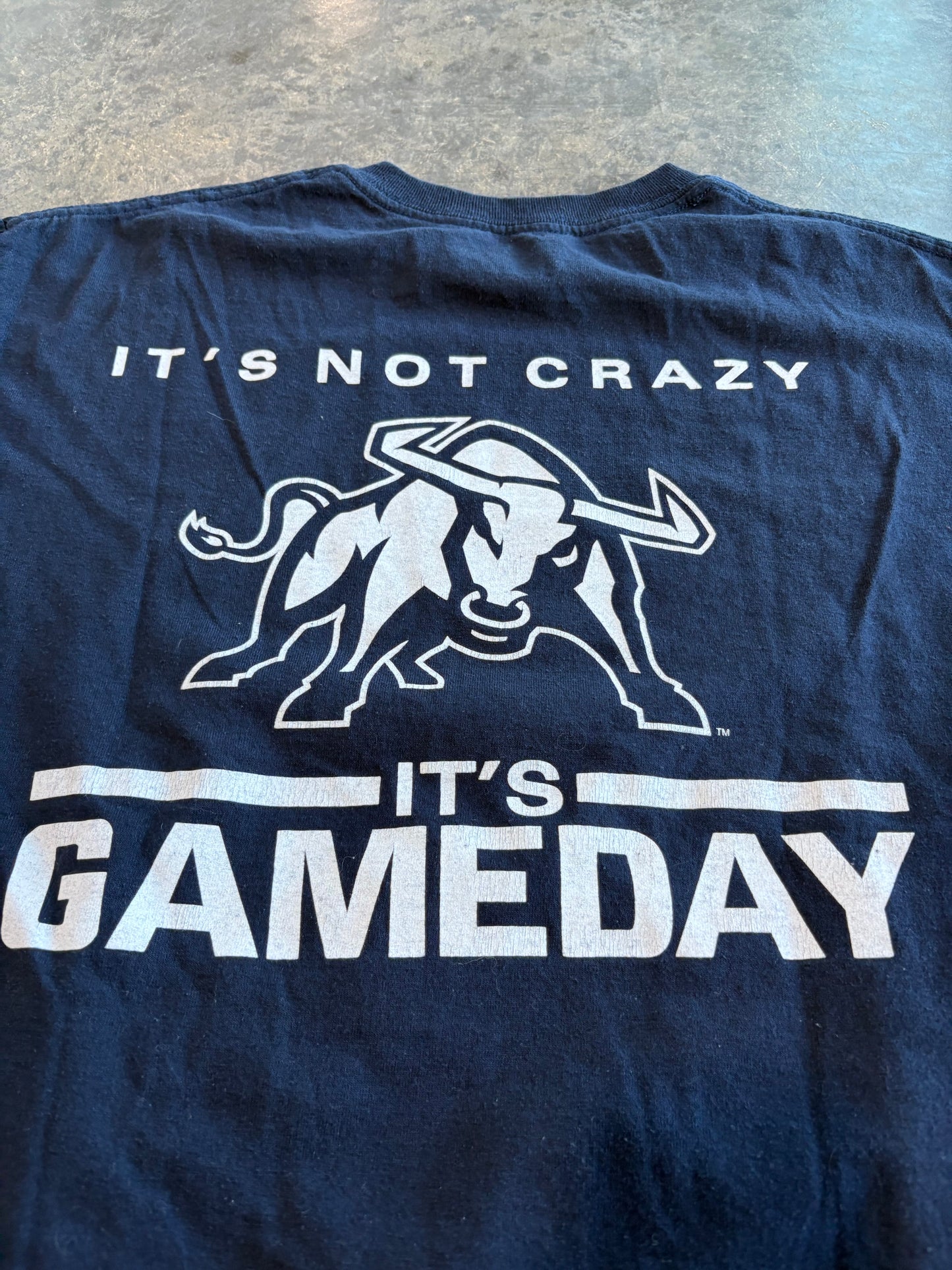 Utah State Gameday Graphic Tee